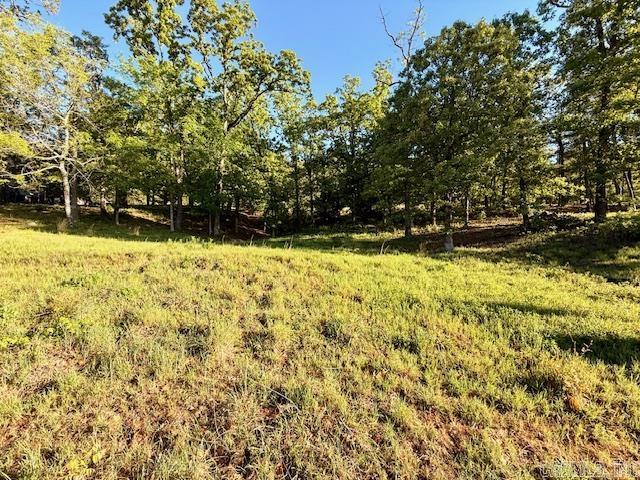 Turtle Creek Cove - Land