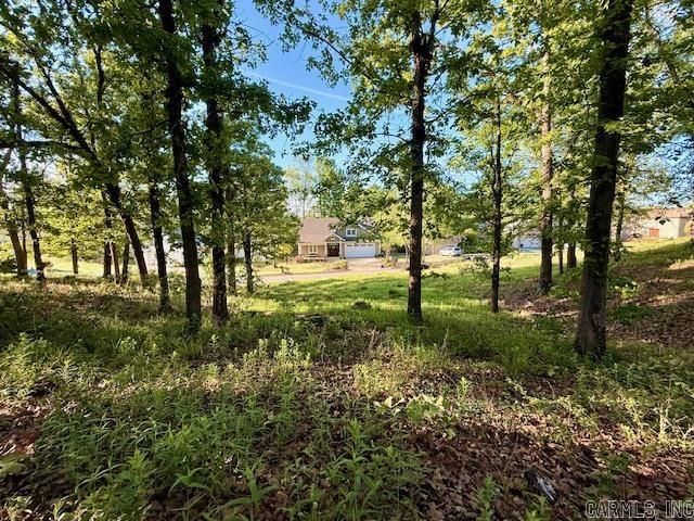 Turtle Creek Cove - Land