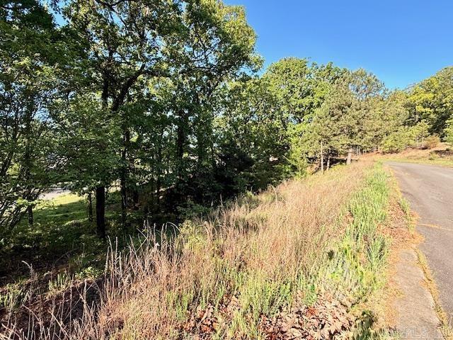 Turtle Creek Cove - Land