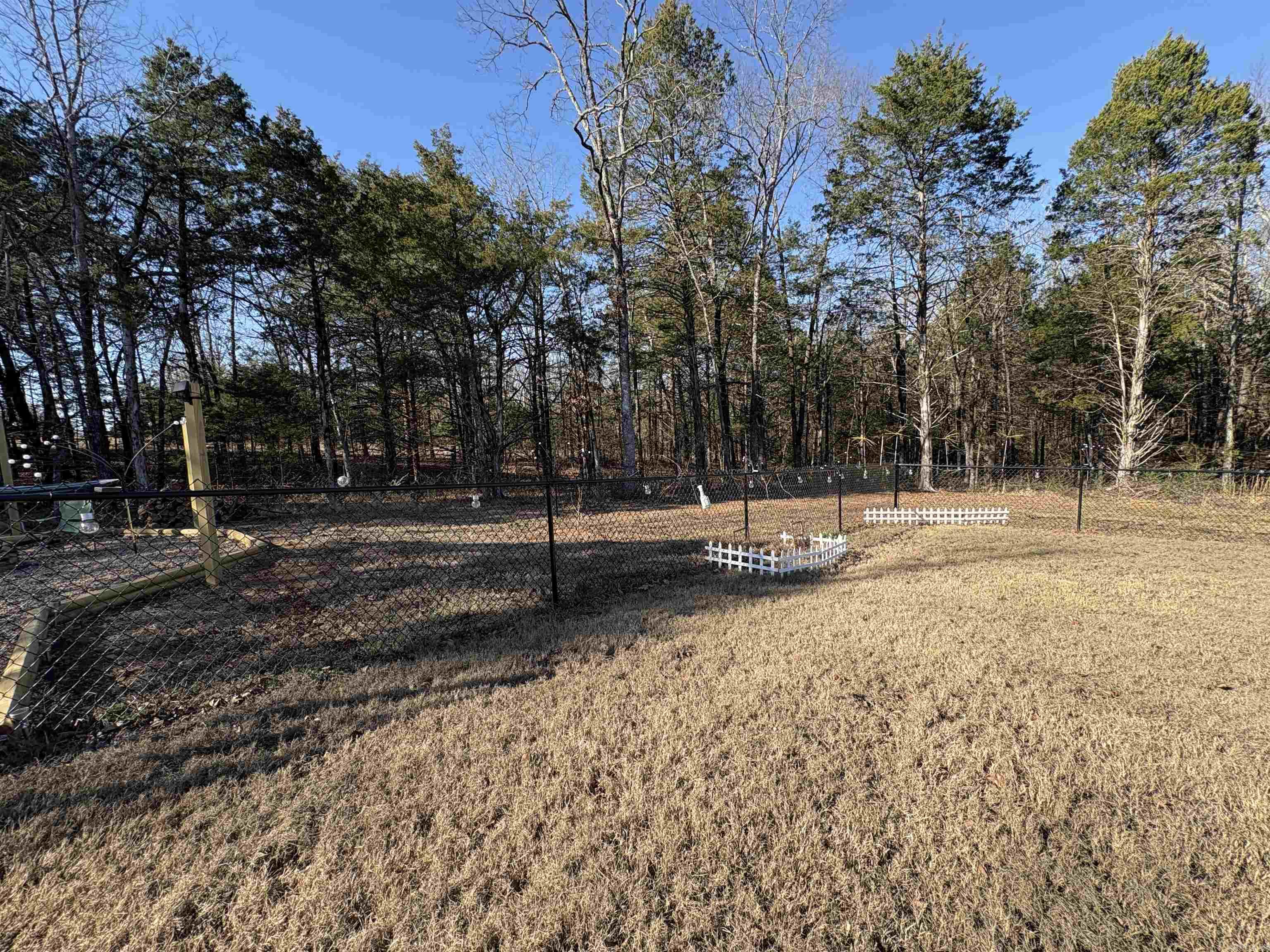 FOREST COVE - Residential