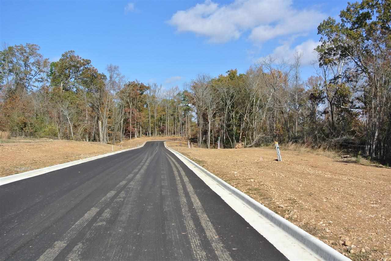 Hurricane Lake Estates - Land