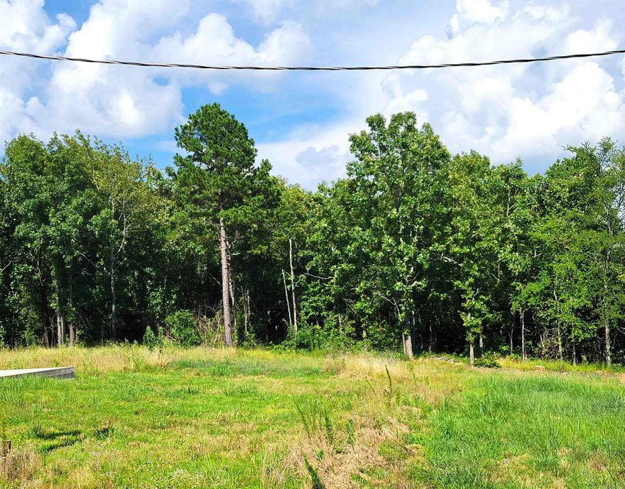 What a special spot!  Beautiful land with some cleared areas and large trees. Approx. 5.04 acres.  The property has a gravel circular drive with a 30x40 slab.  There is a 1,000 gallon septic,  temporary electricity on the property and a water meter.  Ready for you to build!  There is also a drive to the back of the property with a cleared area.  So many possibilities.  Survey with legal description attached in the Documents.  The pods and RV will be removed prior to closing.