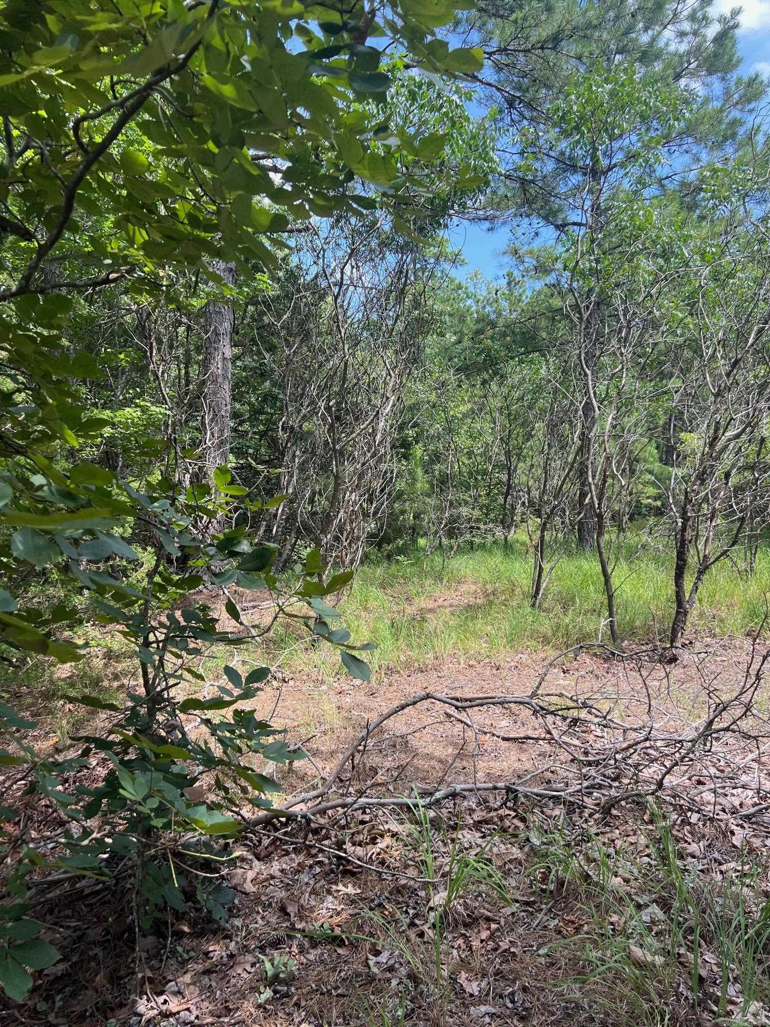 Great land to build your forever home on close to the beautiful Greers Ferry Lake, Middle Fork river access, Clinton, Shirley, and Fairfield Bay. Just minutes to the beautiful town of Mountain View. This property will have lake views with a little clearing.