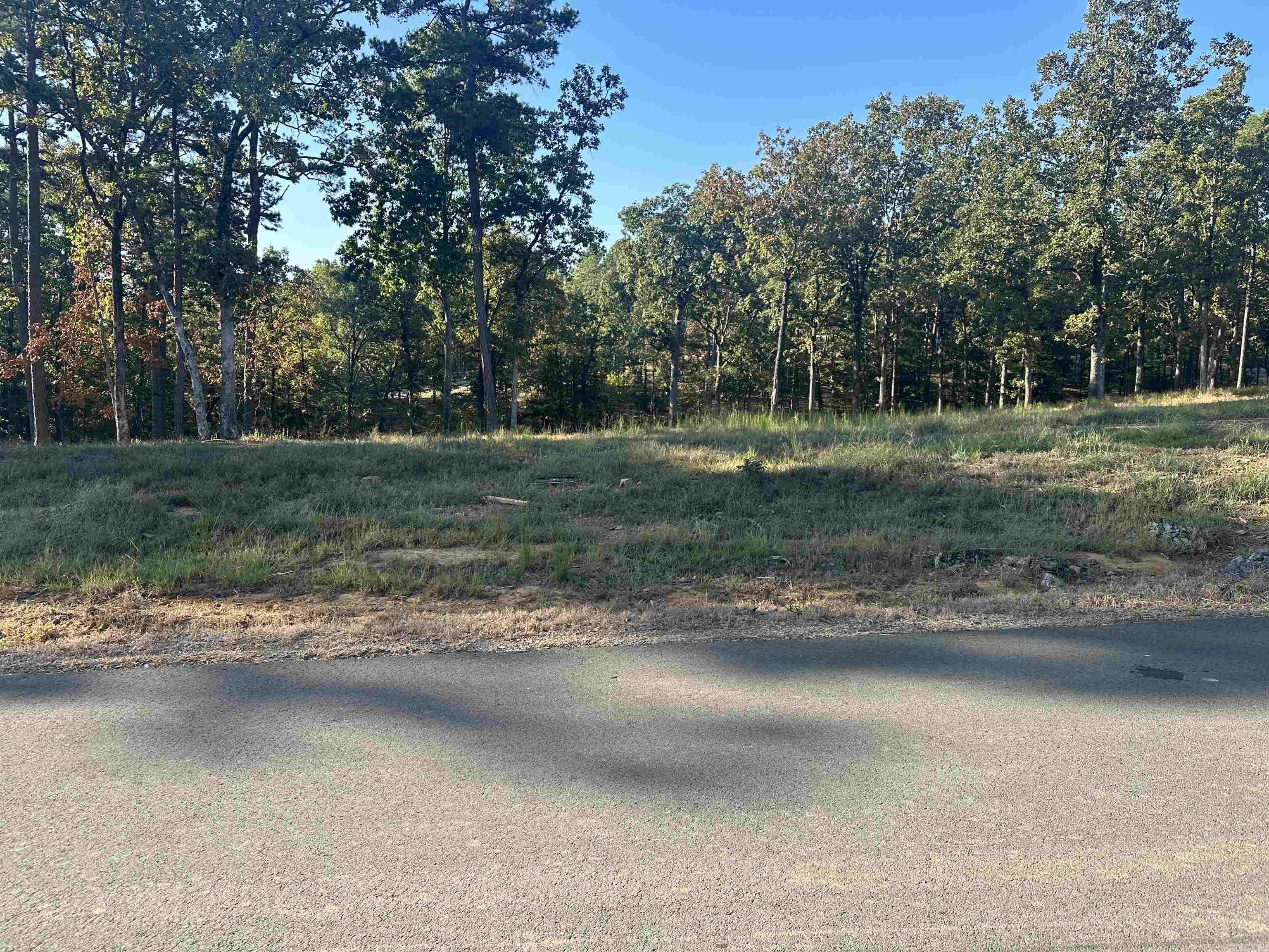 Don't miss this beautiful lot in Orchard Hill, Conway's newest subdivision on Round Mountain. 3.000 sq ft minimum. Can be bought along with connecting lot 17 for $220,000.00