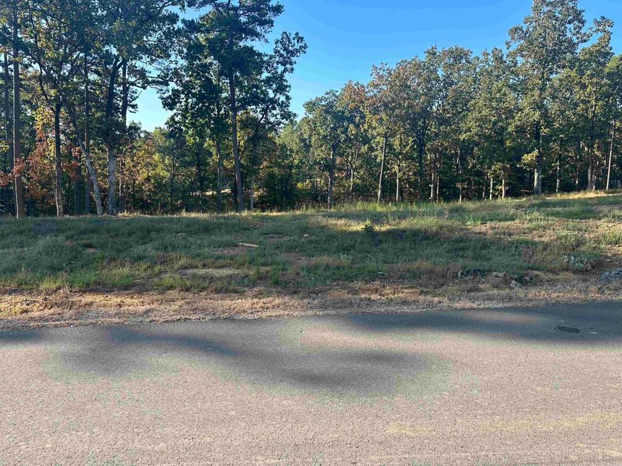 Don't miss this beautiful lot in Orchard Hill, Conway's newest subdivision on Round Mountain. 3.000 sq ft minimum. Can be bought along with connecting lot 17 for $220,000.00