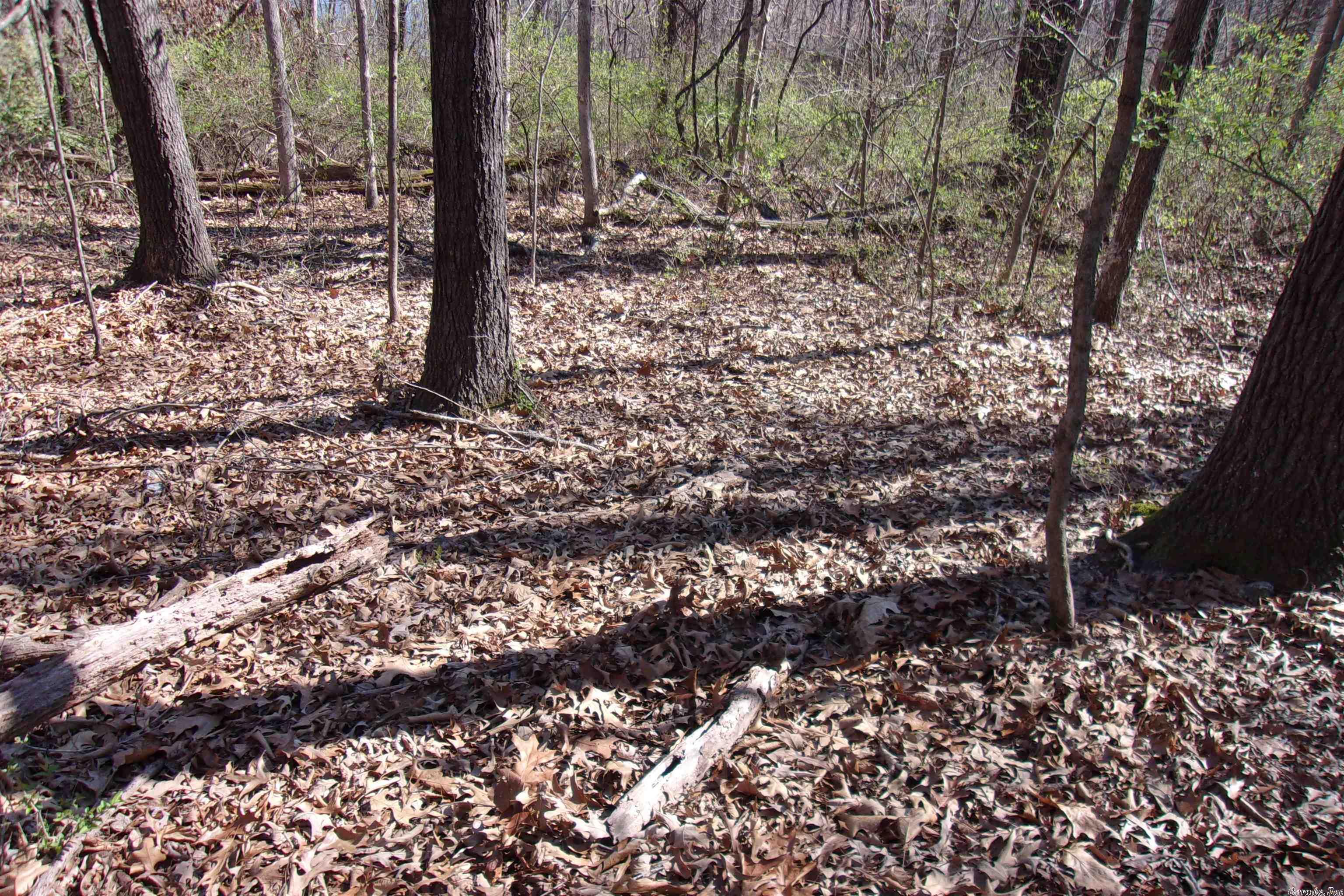 City of Flippin - Land