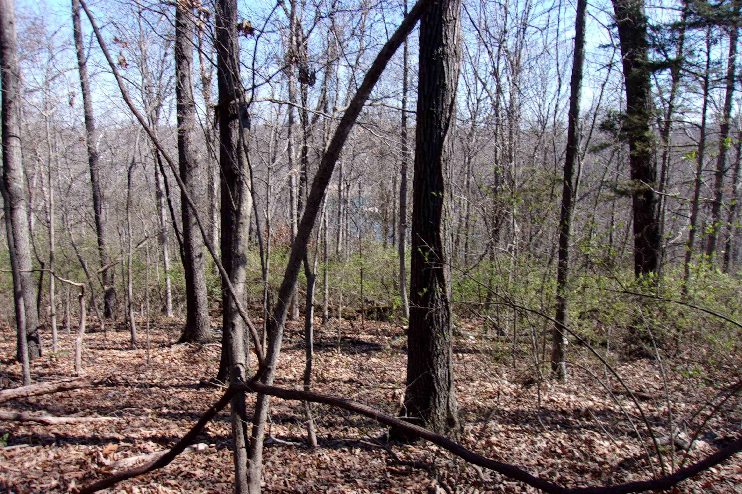 City of Flippin - Land