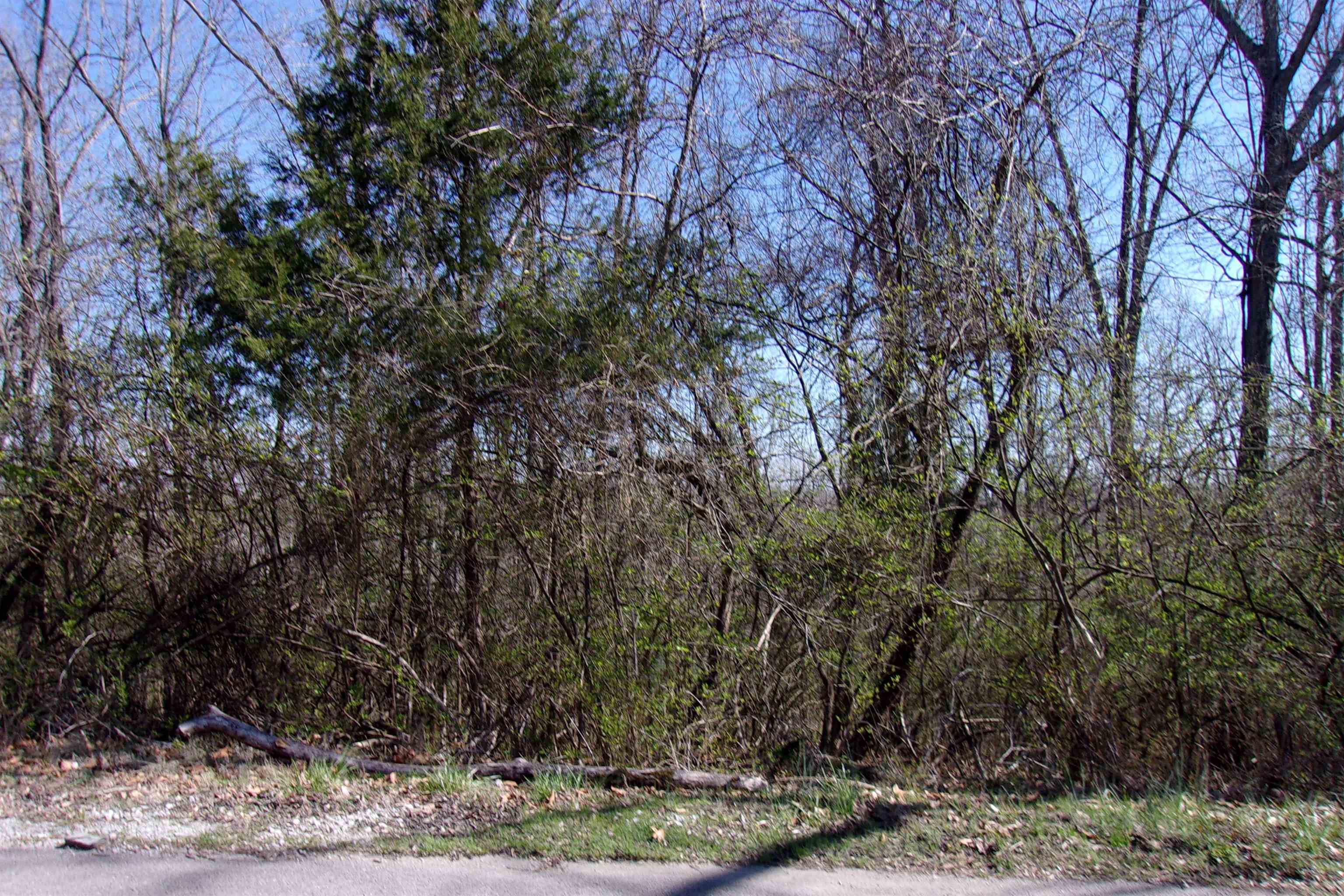 City of Flippin - Land