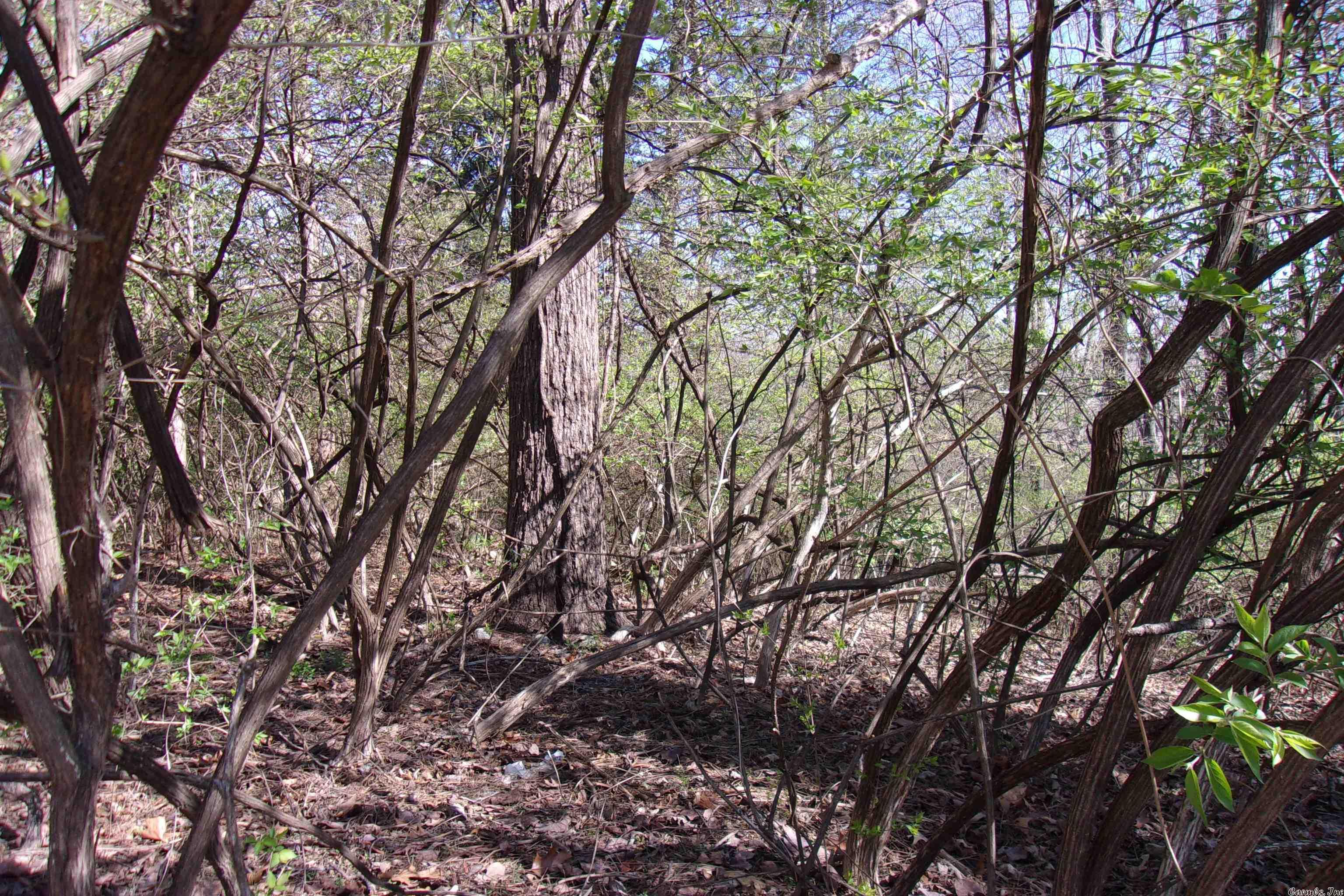 City of Flippin - Land