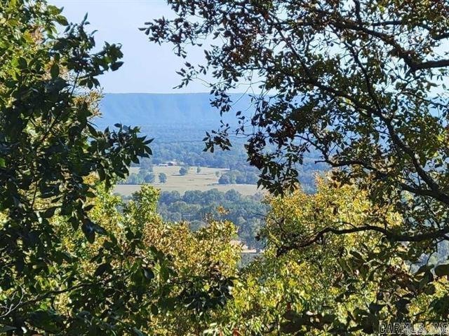 Change your views, why not soar with the birds from the highest of Crow Mountain's Southern Slope. Mountains 30 miles away seem close enough to touch. Well cleared of underbrush with an abundance of trees. Perk test and previous survey available. Numerous places to build your mountain top Dream Home on this secluded yet convenient property. Schedule your showing today! Photos don't do this property justice, must see!