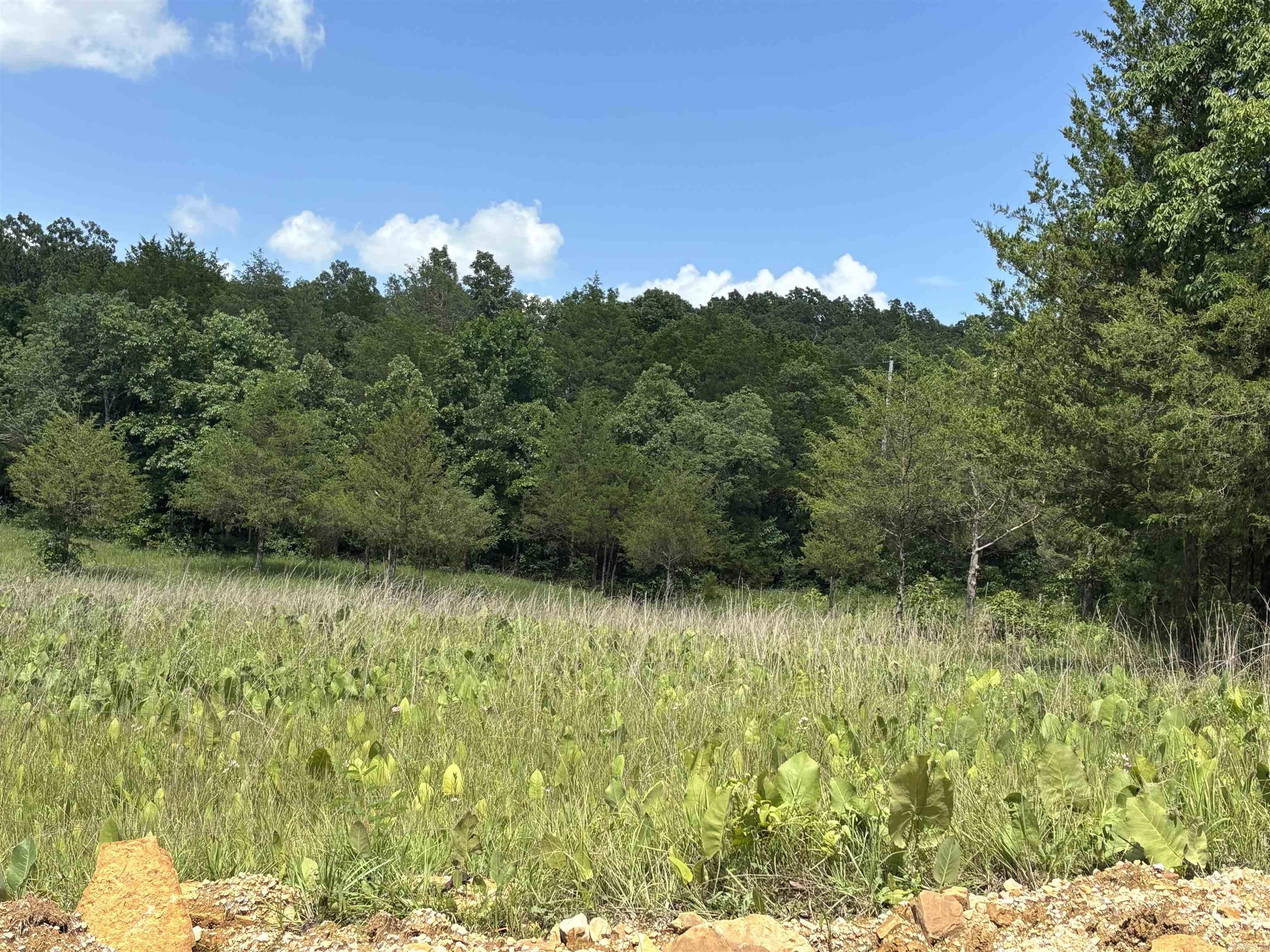 Approximately 4 acres of semi cleared/wooded land. Utilities accessible at the road. A private, peaceful spot to put a new home or for hunting. Property to be surveyed.