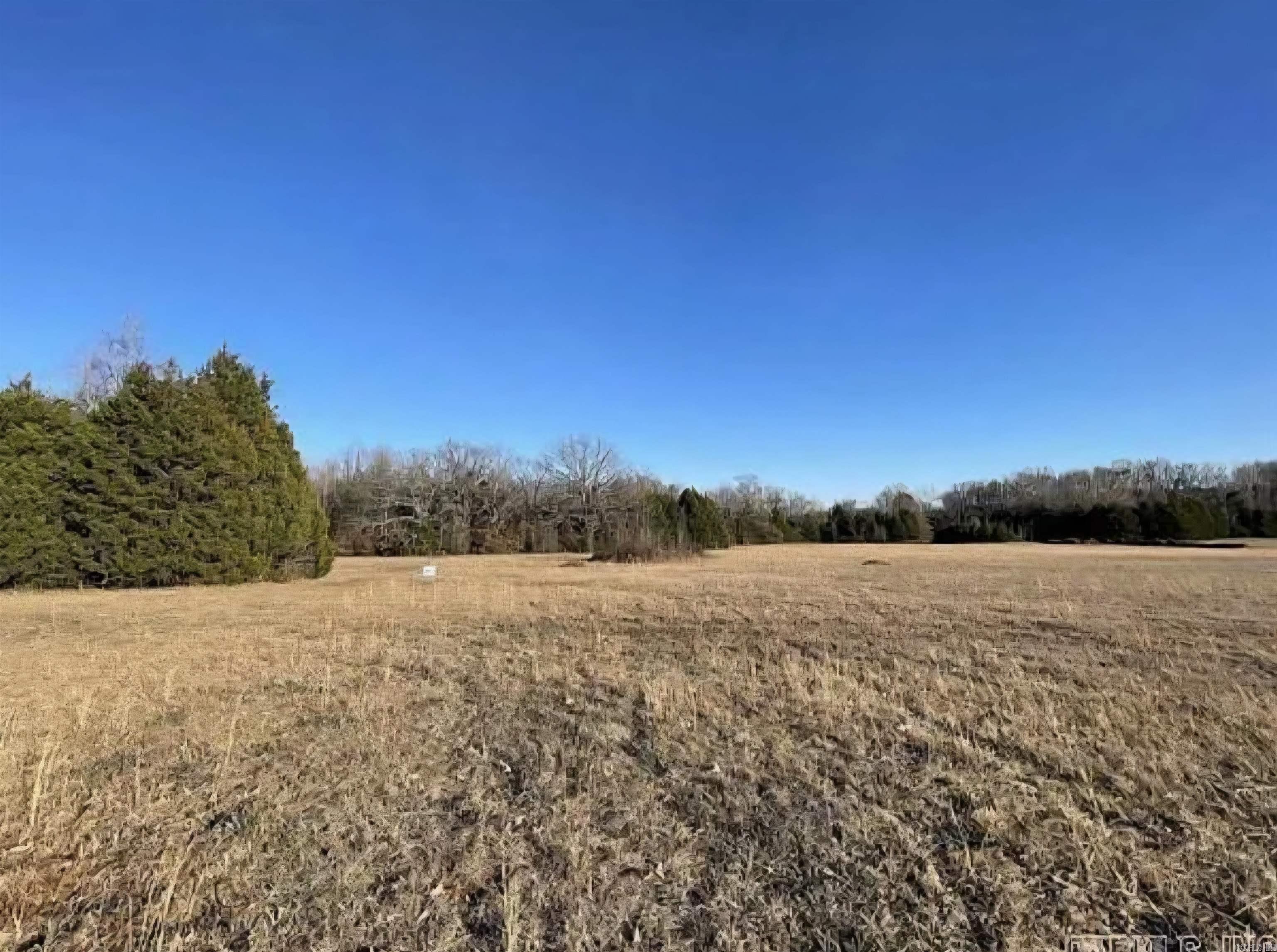 Gorgeous 3 acre lot just outside Conway city limits. Ready to build your dream house! Utilities are available at the lot. Entergy, Summit, and Vilonia water. Don't miss this one!!