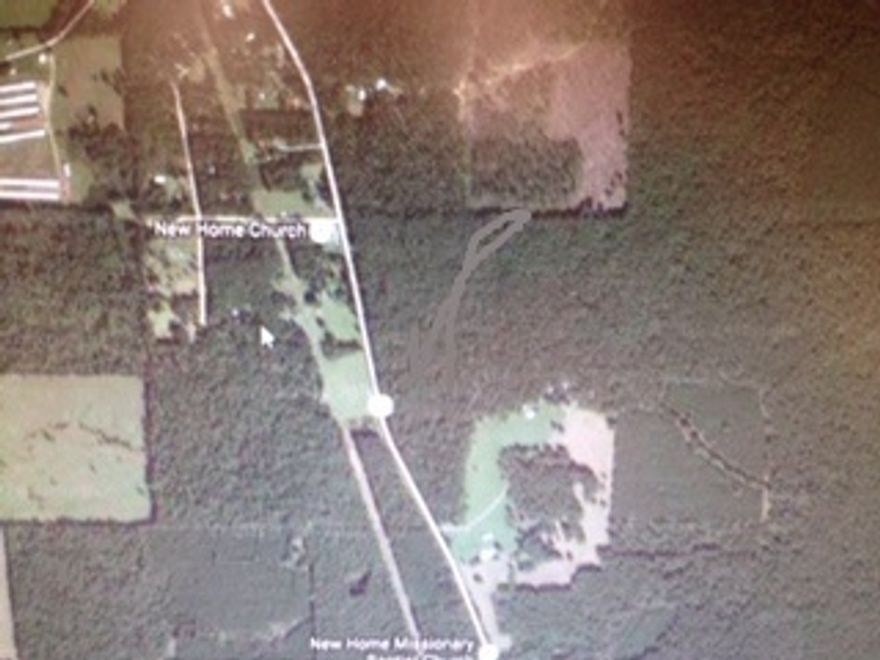 45 acres of timber; lots of Hwy frontage(Hwy 54/Glendale Road)... Features old homeplace with mature and young timber..  Utility easement on property..  Call listing agent for details..