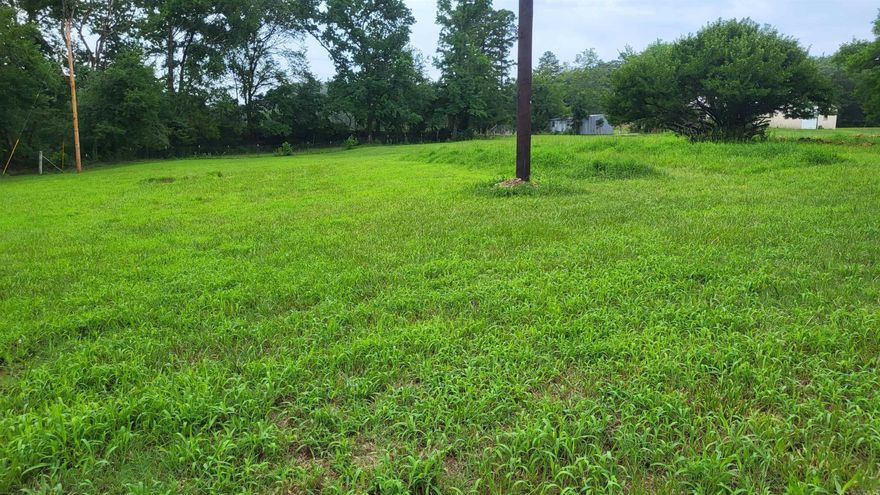 You won't find another parcel like this!  Surveyed, 1000 gallon septic installed, water meter in, ditch dug for water lines, electric w/night light.  All ready for your mobile home or RV!  Close to Wolf Pen Trails, just jump on your ATV and take off!