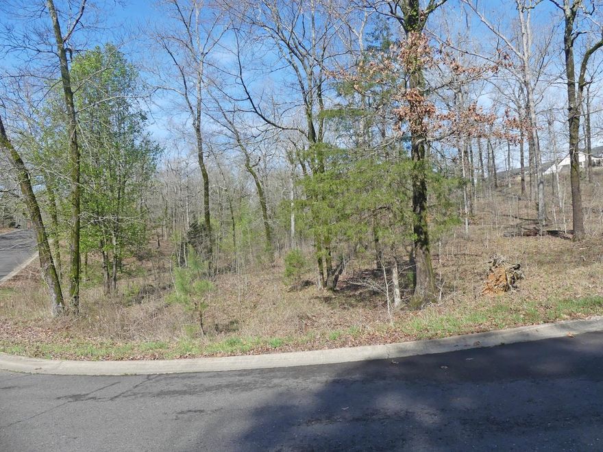 Nice building lot in LSSD