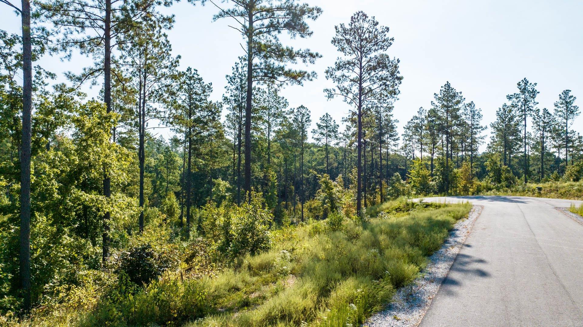 CANYON CREEK VILLAGE - Land
