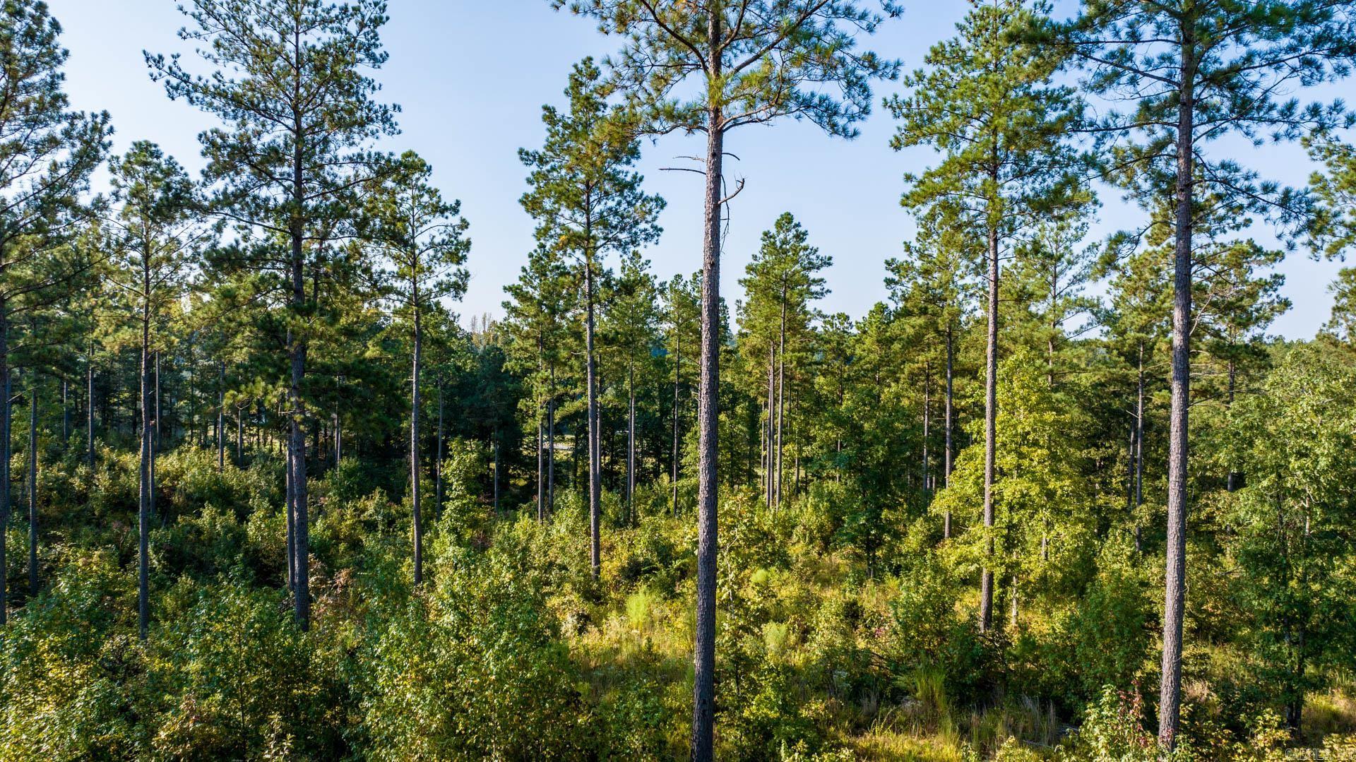 CANYON CREEK VILLAGE - Land