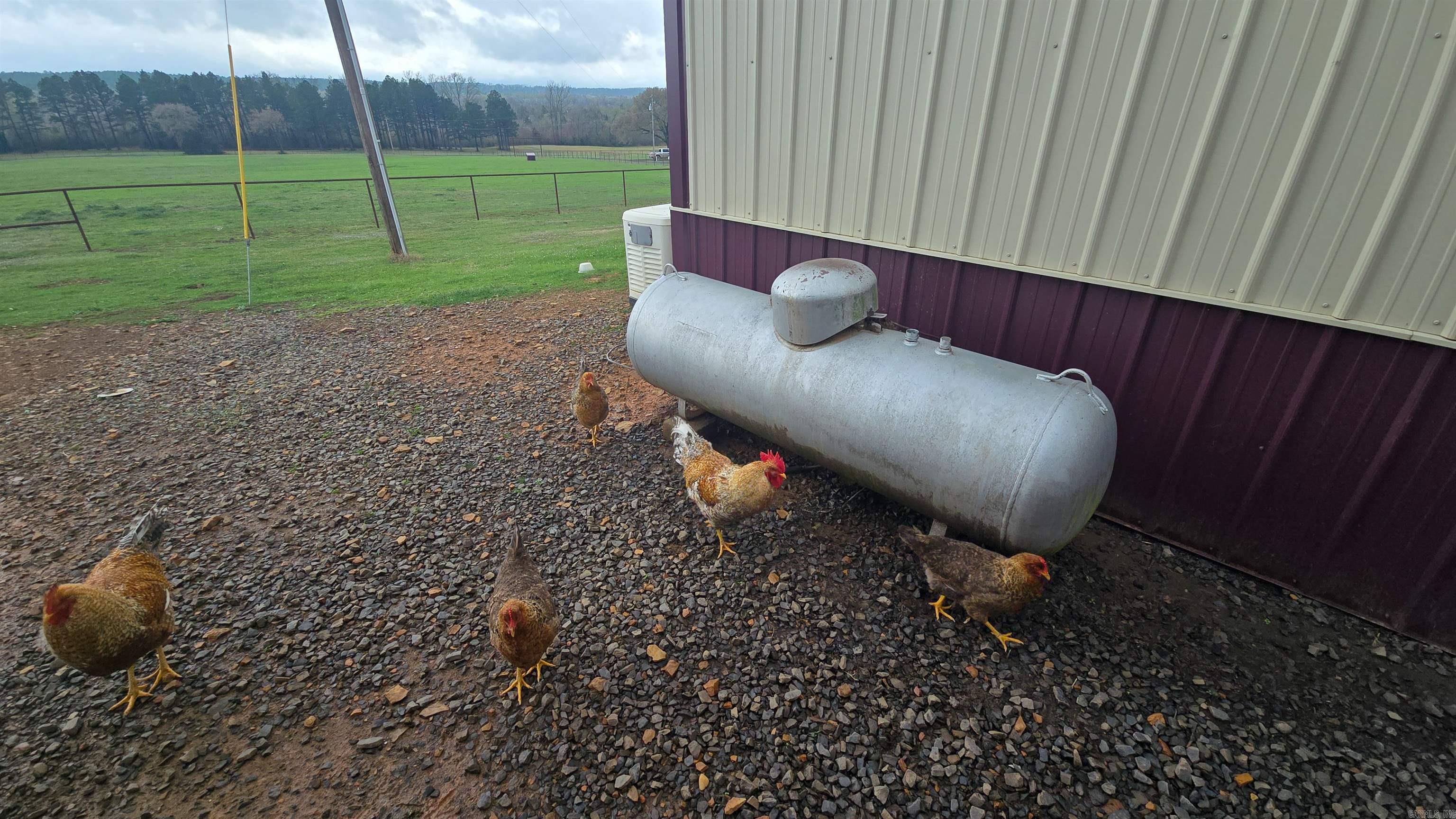 Not in Subdivision - Farm