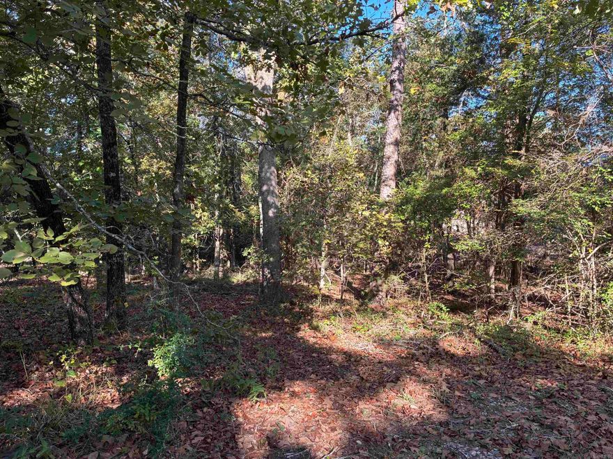 Discover the perfect place to build your dream home on this beautiful golf-front lot along Balboa Golf Course in Hot Springs Village, Arkansas. Nestled on Cresta Way, this property offers a mostly level terrain, making it ideal for building.  Wake up to serene fairway views and enjoy direct access to one of the Village’s most beloved courses — Balboa Golf Course, known for its scenic layout and inviting atmosphere. This homesite provides the best of both worlds: a peaceful setting with convenient access to nearby lakes, trails, restaurants, and community amenities.