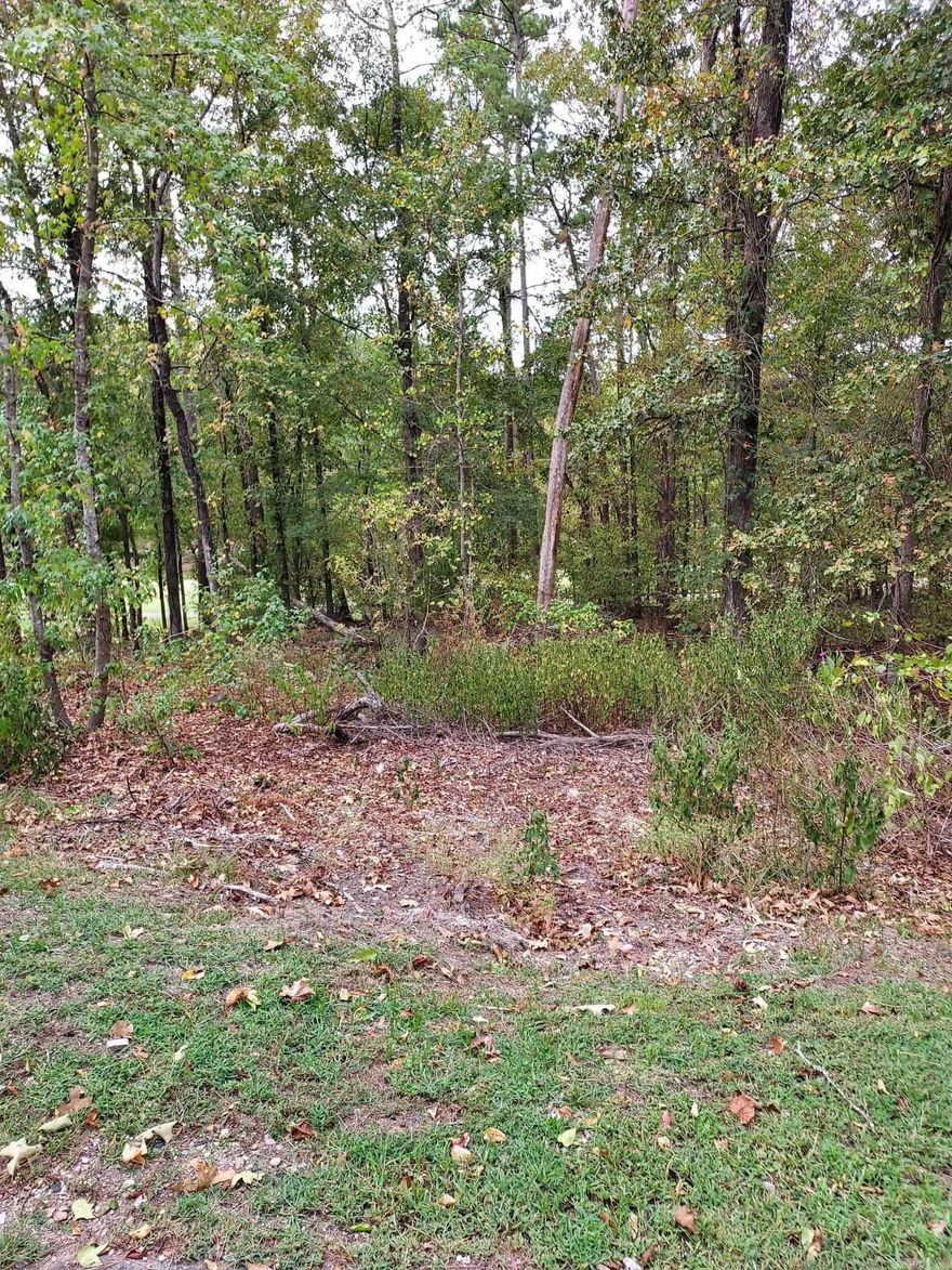 Be a part of Diamante Country Club.....Build your dream home on one of the state's most prestigious private golf courses. Beautiful facilities for swimming, tennis and pickleball(under construction). Fine dining and numerous social activities. Hot Springs Village Property Owner Association has a new member buy-in fee of $300.00 and additional Diamante new member fees apply. Check with agent for current fee amounts.