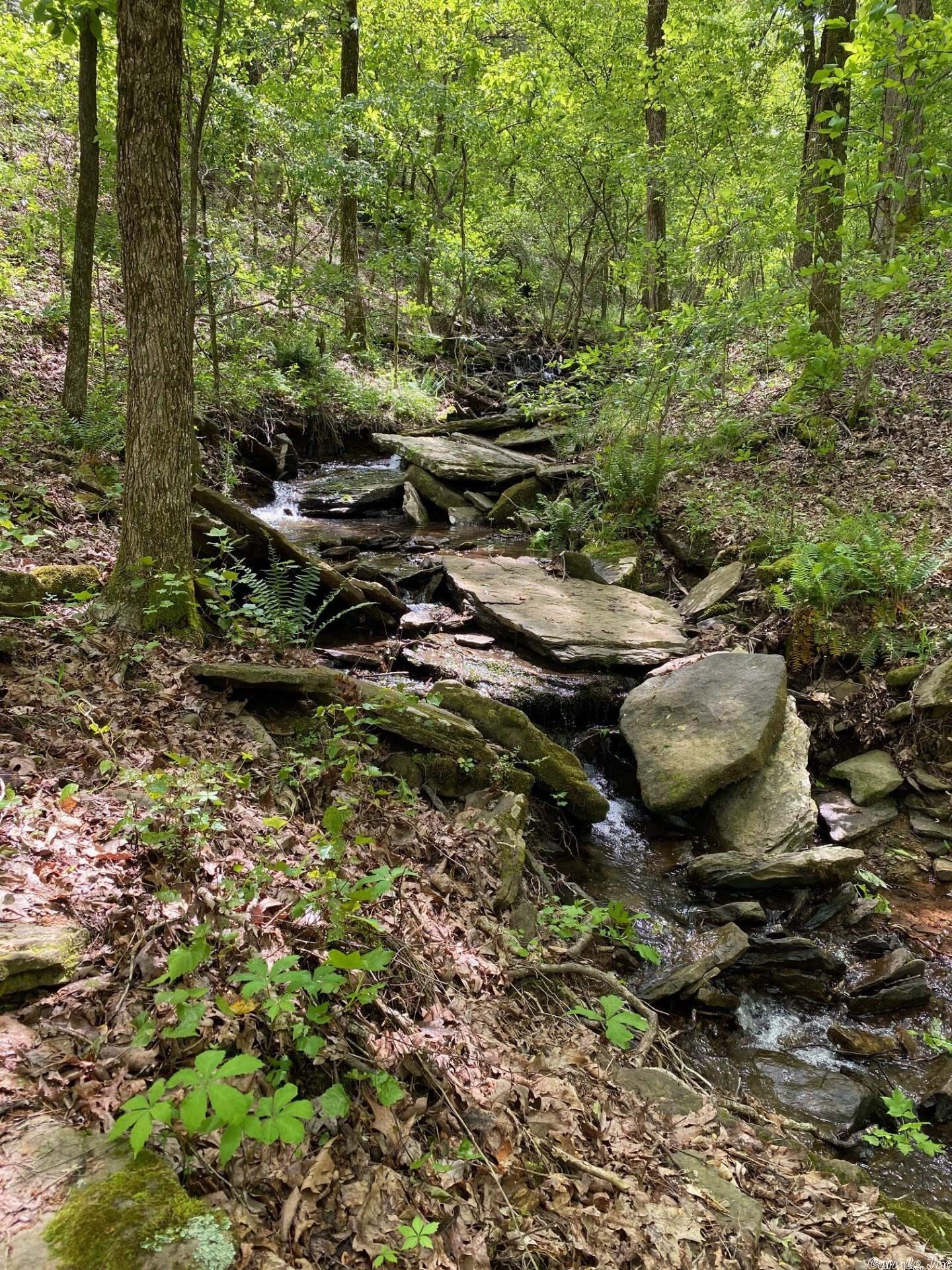 Metes & Bounds - Land