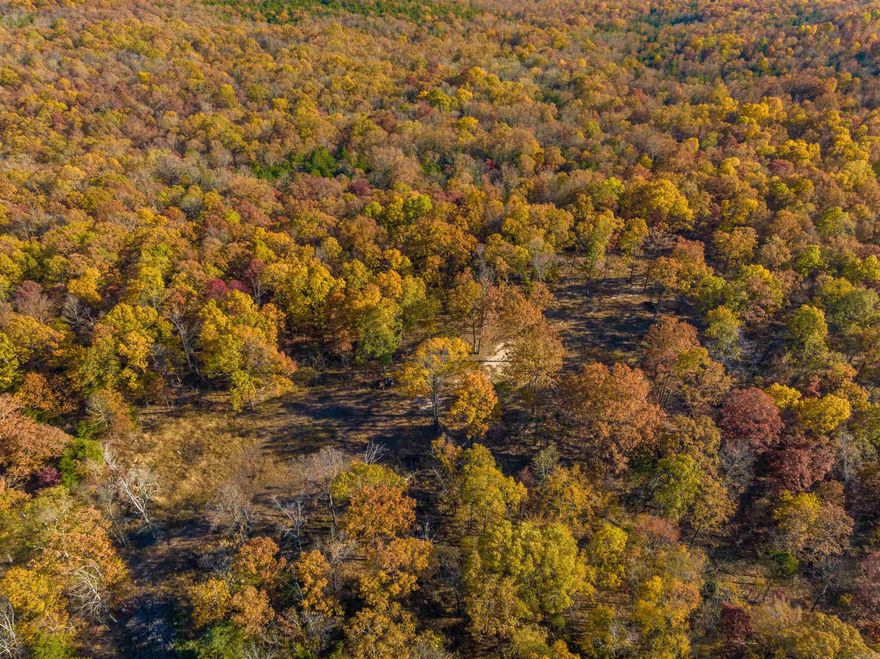 Hunters Paradise is waiting for you!  This 169 +/- acre has it all, from rolling hills, mature trees; some cleared acres for food plots, a large pond, a creek, some deer stands that will stay, and a small cabin to a paved road access!  This property is loaded with whitetail deer and lots of turkeys.  It would make a great place for a larger family to enjoy.  Several hunters could enjoy hunting this property with the way the land is shaped!   Do not let this one slip by you!  This would make a great property to build a home on, have a nice pond to overlook, and still have a property to explore!  Come join us in the Ozarks!!  Please enjoy our drone footage and see how beautiful the fall colors are! Property like this does not come up very often in the Ozarks!  If you would like to get on this property and see it, please do not wait!  Located just outside of Cave City, Arkansas in Sharp County in a small town called Poughkeepsie just off Nelsonville Road.  Just a very short drive to the Strawberry River!