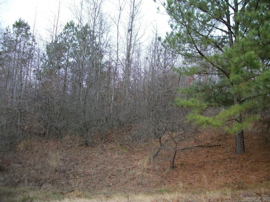 **Commercial lot on busy Arch Street**188' street frontage**2.34+/- acres** Located in southern Pulaski County**