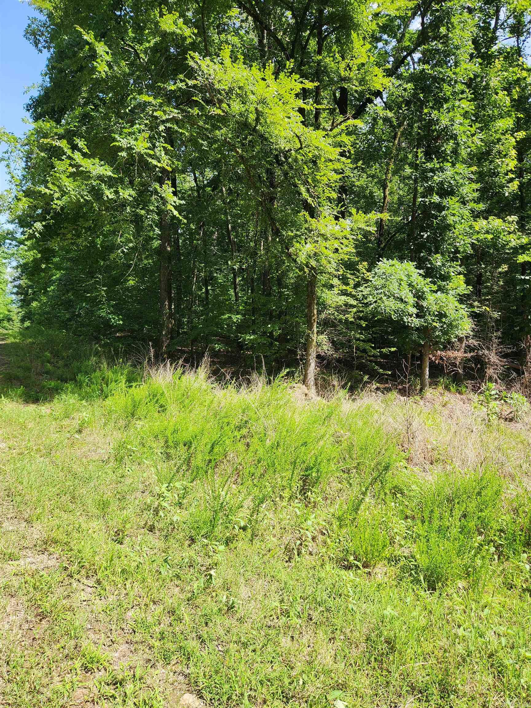 This is the spot for serenity. Lot features plenty of mature trees.