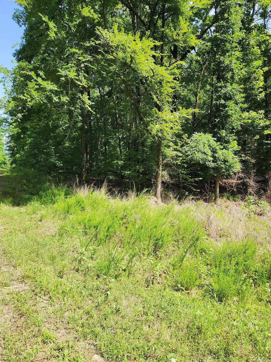 This is the spot for serenity. Lot features plenty of mature trees.