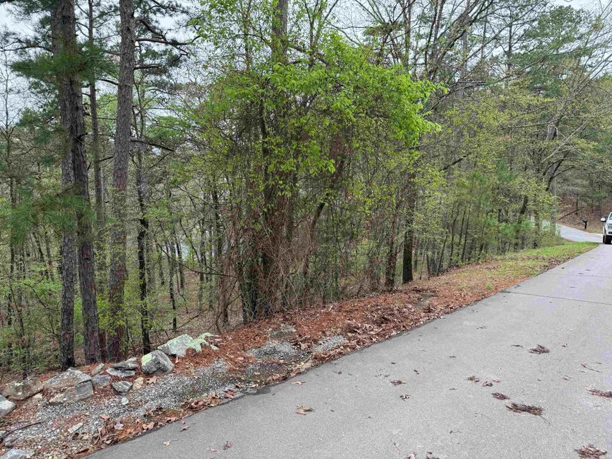 LAKE CORONADO ALMOST IN YOUR BACK YARD...YOU HAVE ACCESS THROUGH COMMON PROPERTY...CALL RIGHT AWAY FOR ALL THE DETAILS...