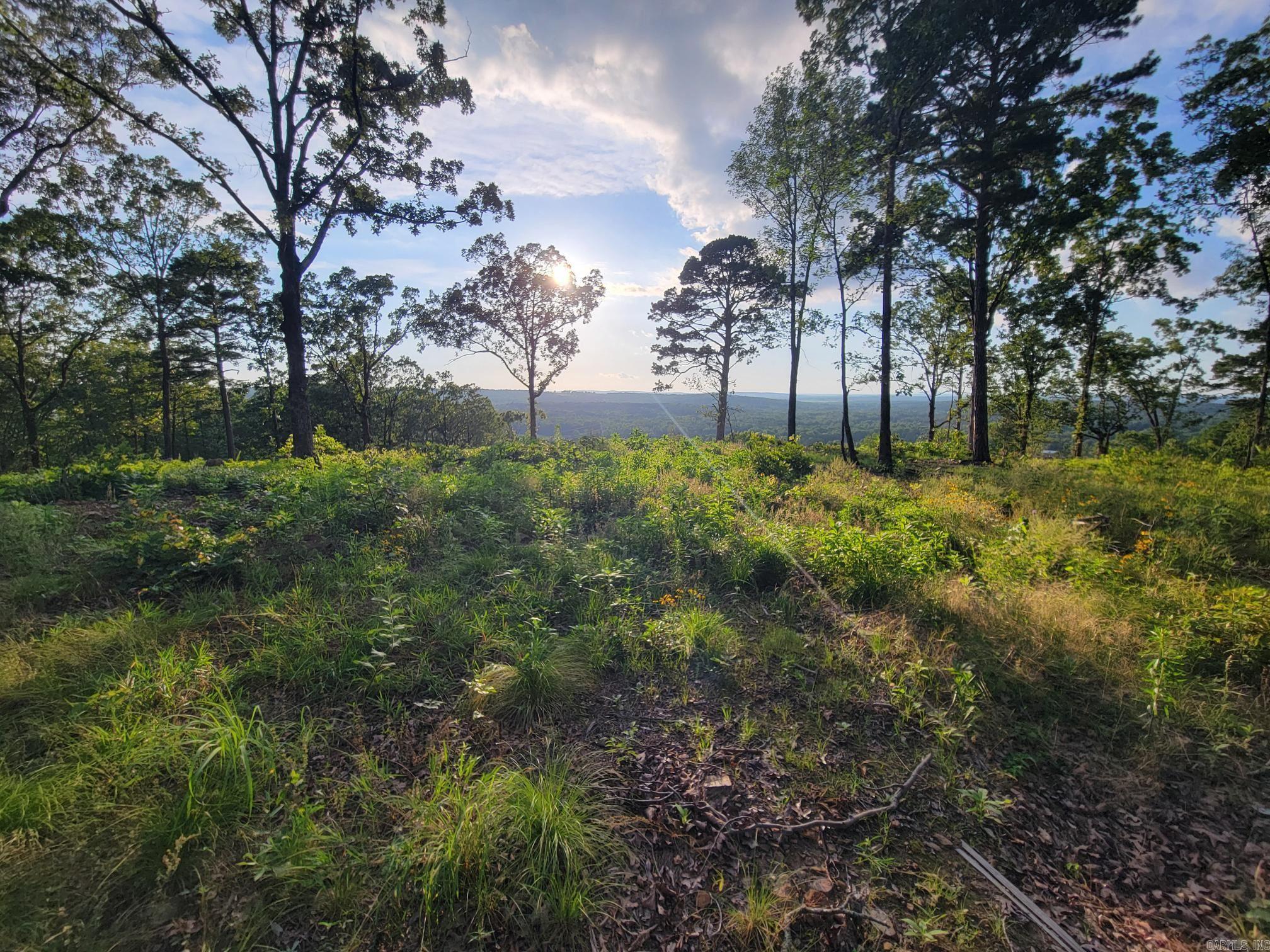 Nestled within the picturesque landscapes of the esteemed Orchard Hill Subdivision, this vacant lot is surrounded by natural beauty but is close to modern conveniences, including upcoming access to Conway Corp utilities! One of the most remarkable features of this lot is it's unique topography - while offering a level build site, it is also positioned to provide a breathtaking western view. You'll have front row seats to nature's nightly masterpiece - glorious sunsets. Whether unwinding after a long day or entertaining guests, this enchanting backdrop sets the stage for unforgettable moments. Call today and let's get started on making this beautiful property yours!