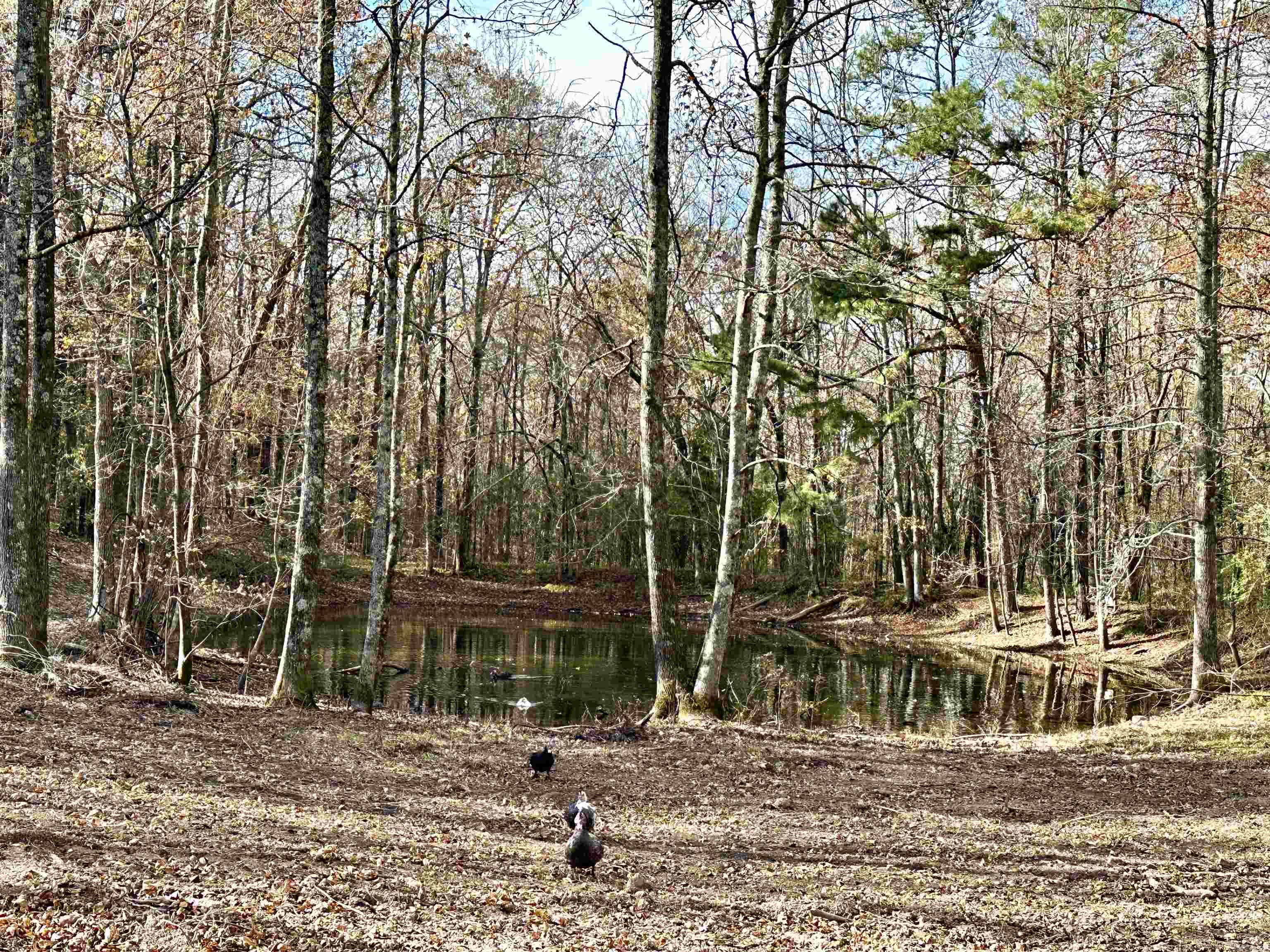 Not in Subdivision - Land