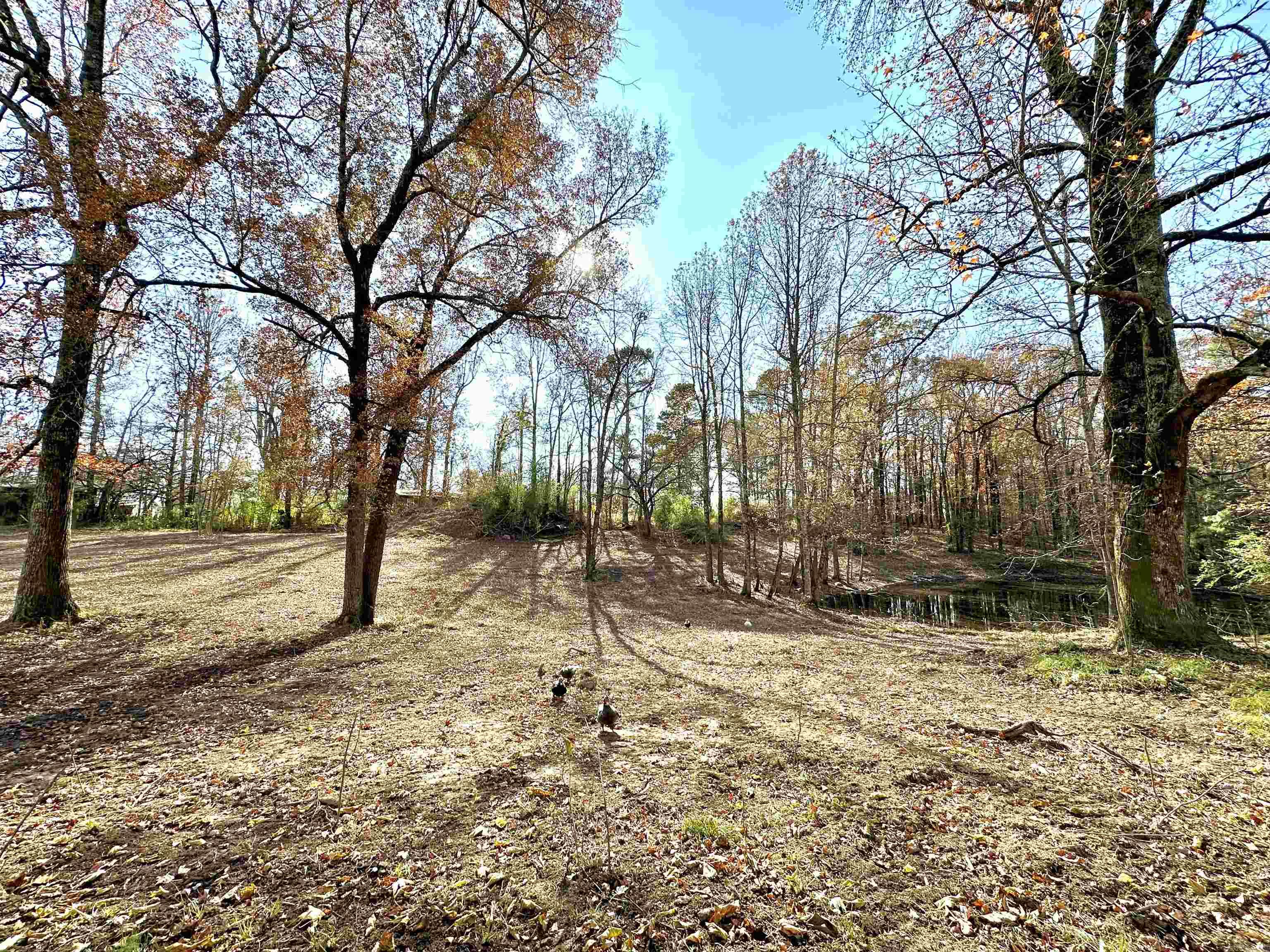 Not in Subdivision - Land