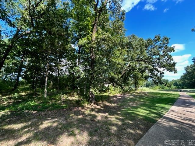 Mountain Ridge - Land