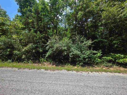 1101 MICHIGAN AVE, HORSESHOE BEND, AR 72512 - Image caeadba42ecb043ebebe1d19fda2a73f/1333565813