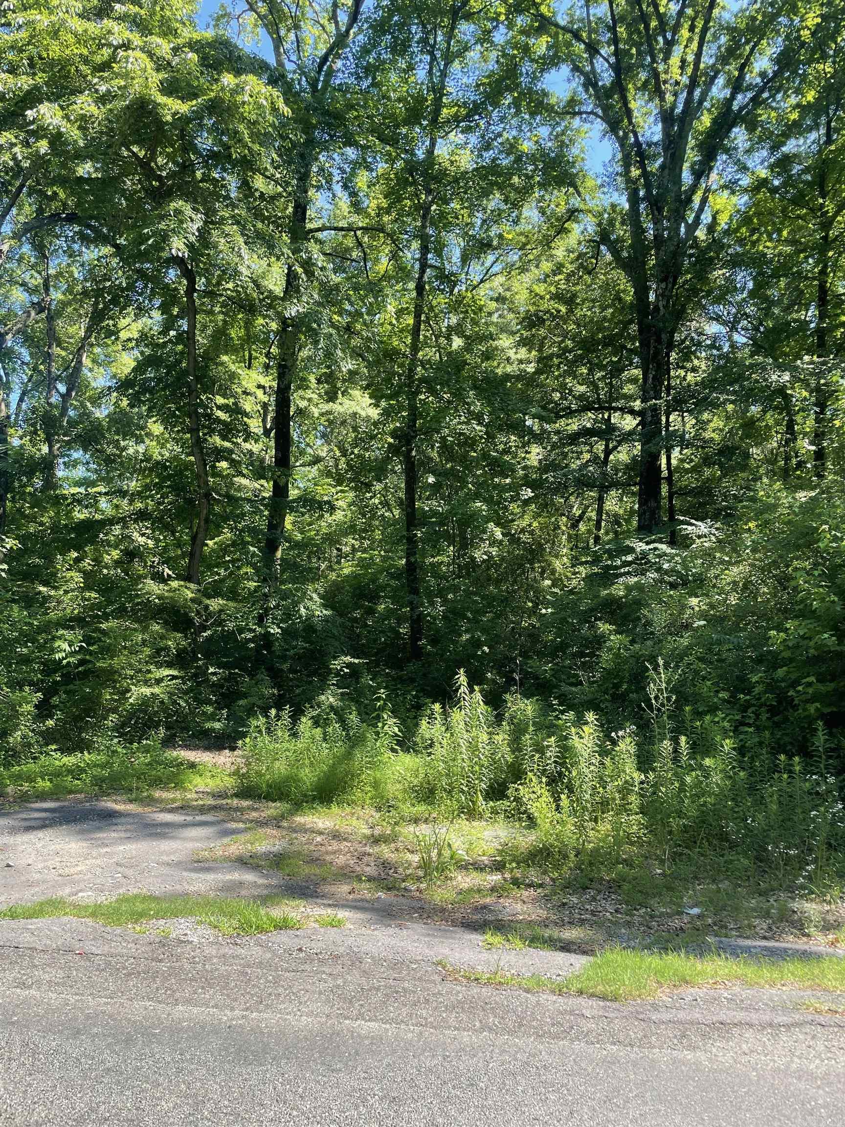 Vacant land inside the Benton city limits! 14.86 wooded acreage that includes hardwoods, pines, and a creek. Convenient to city park, restaurants, schools, and shopping. Easy access to I-30.