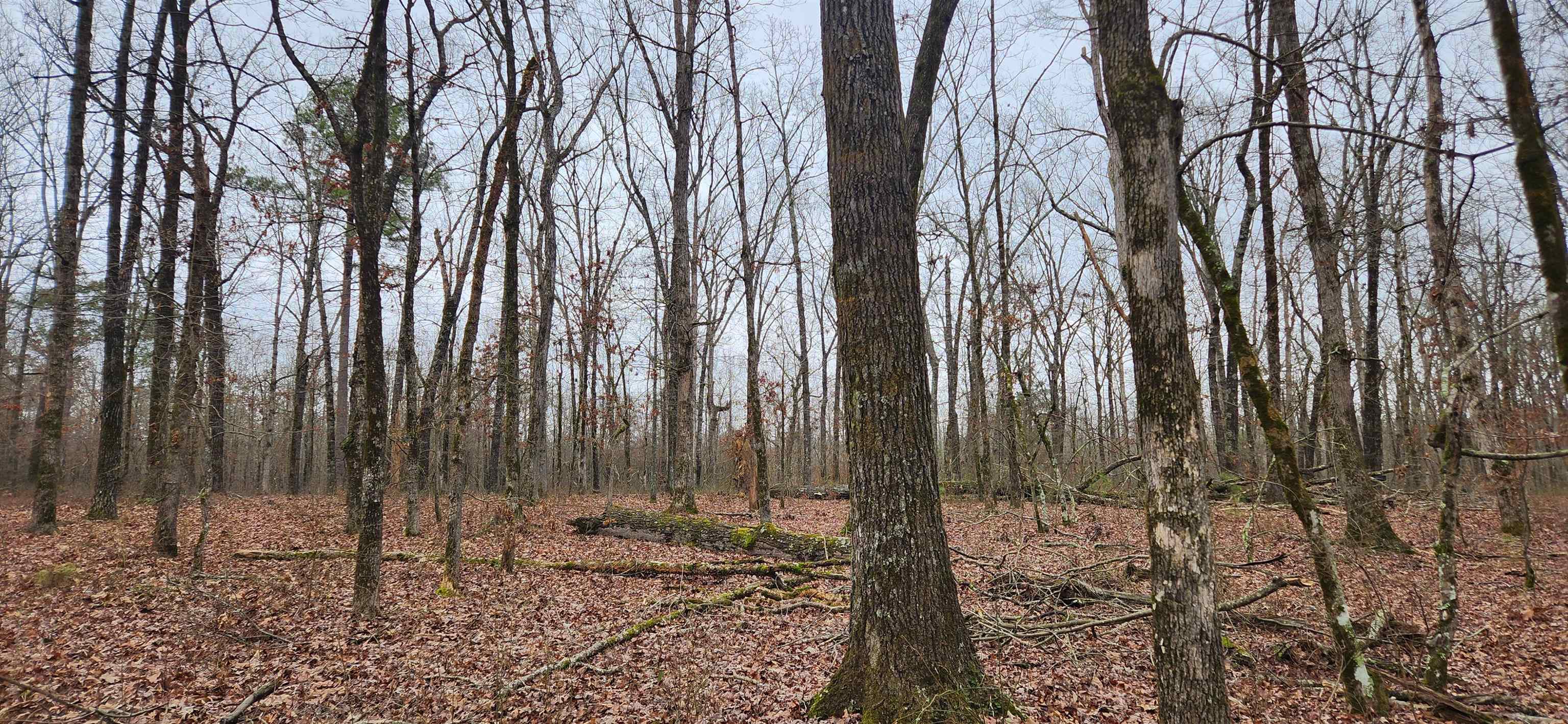 Metes & Bounds - Farm