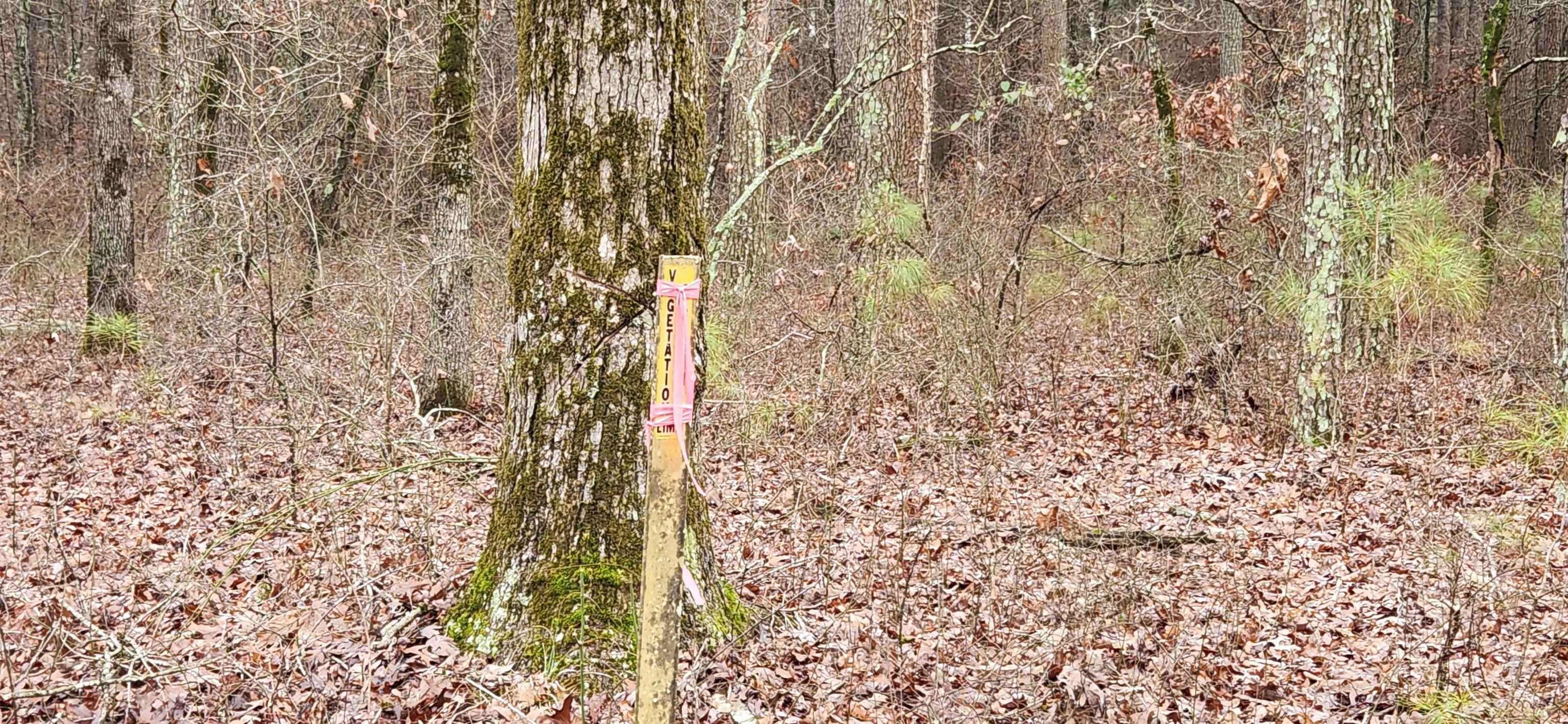 Metes & Bounds - Farm