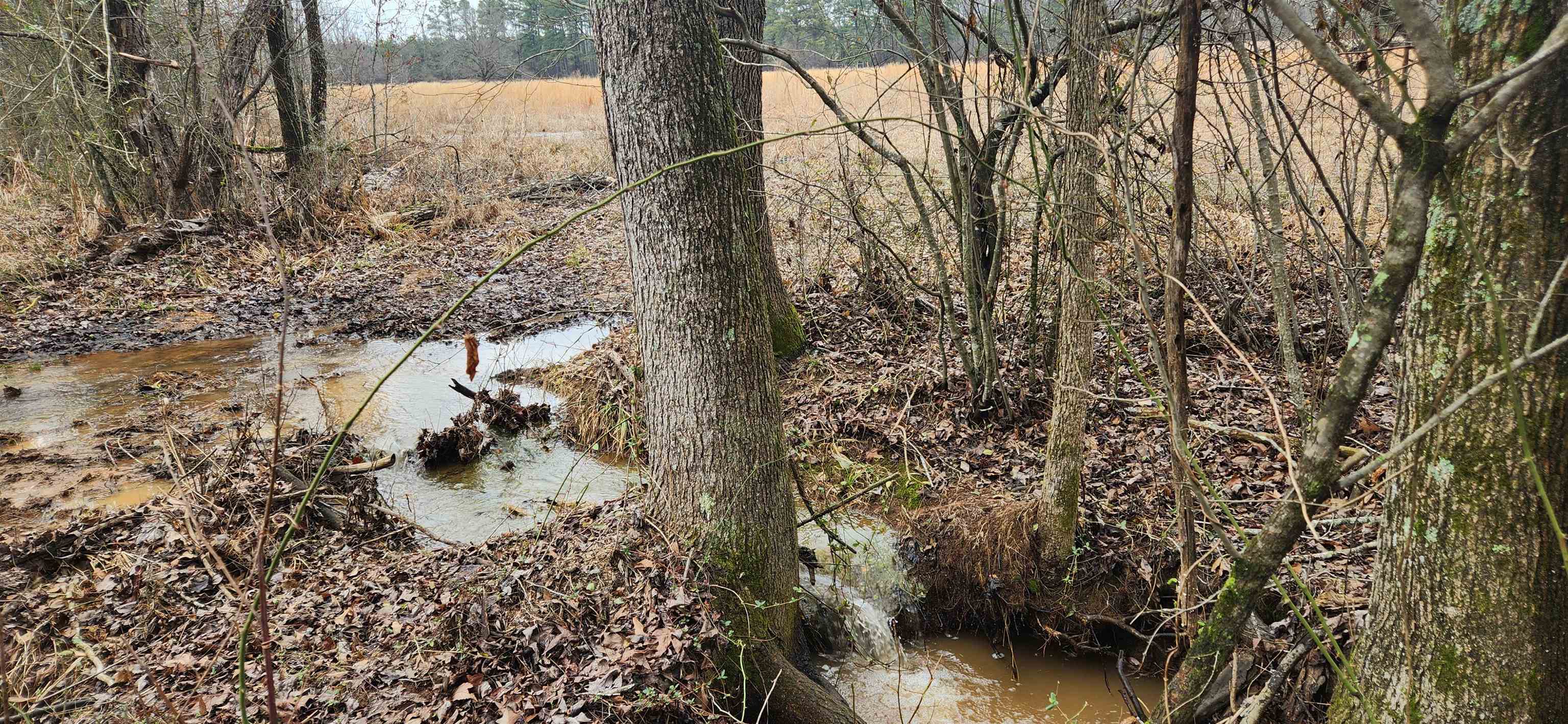 Metes & Bounds - Farm