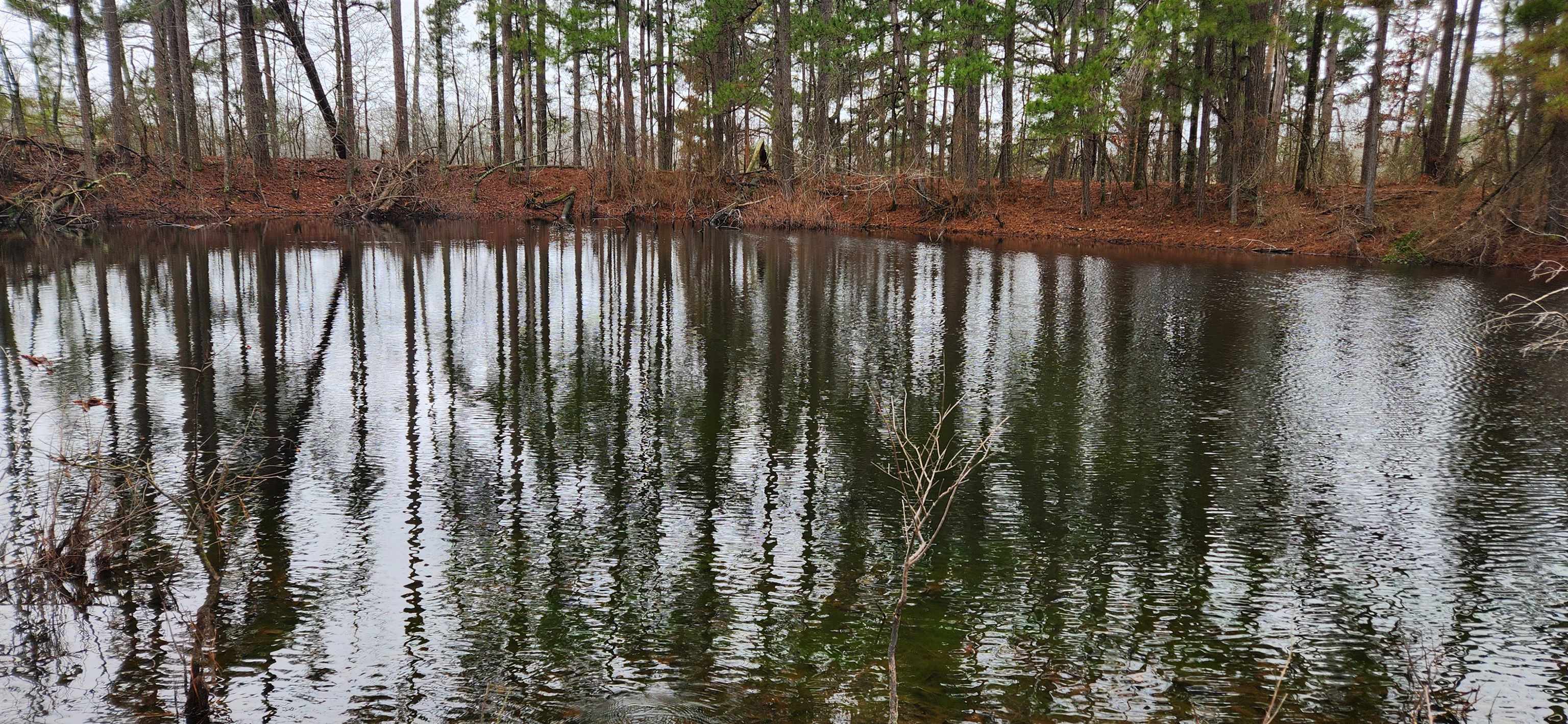 Metes & Bounds - Farm