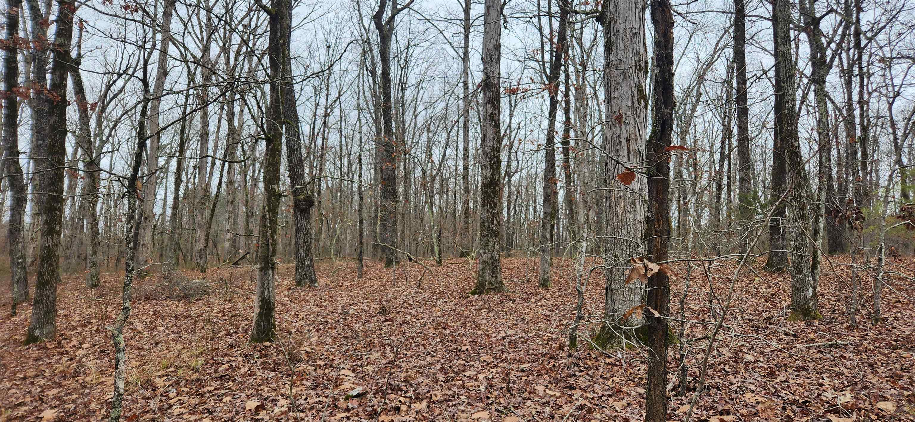 Metes & Bounds - Farm