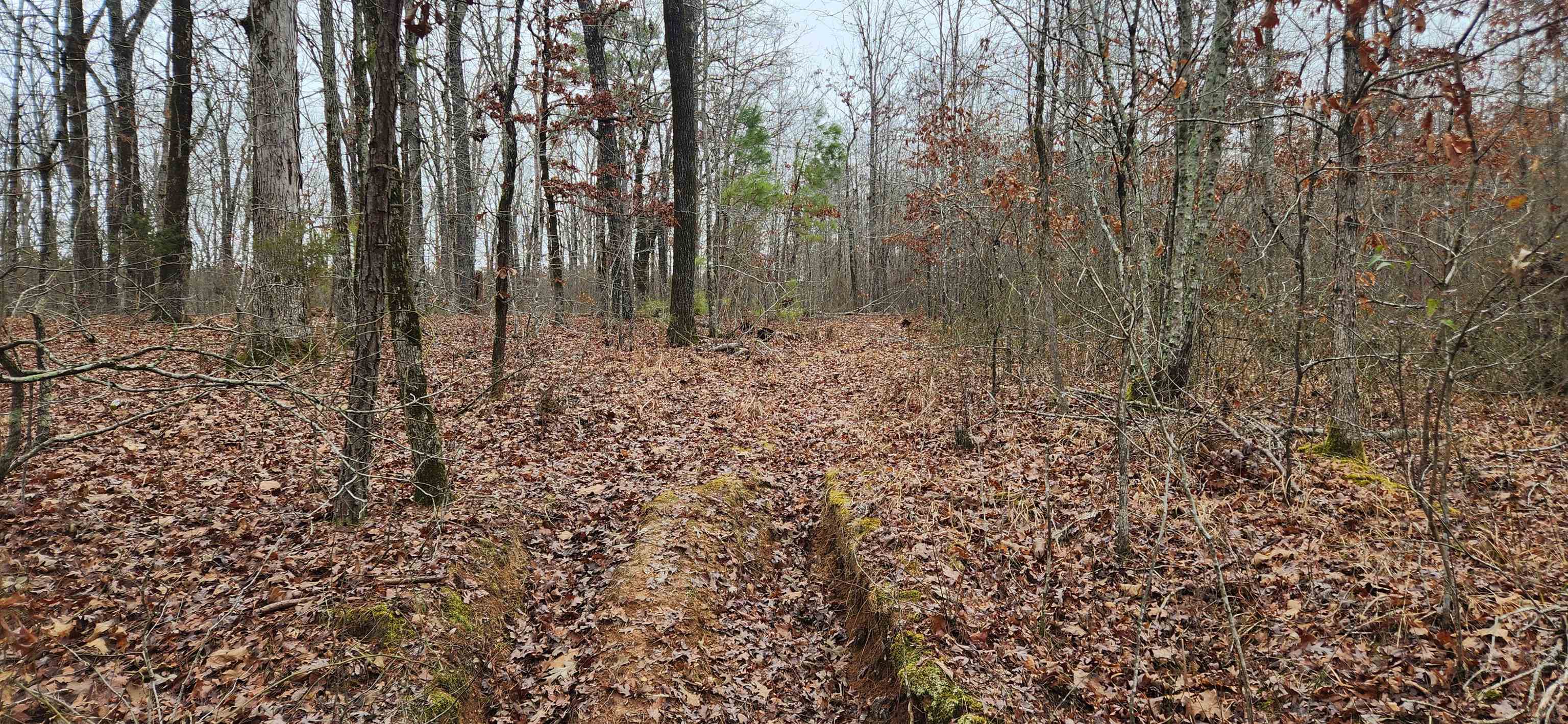 Metes & Bounds - Farm