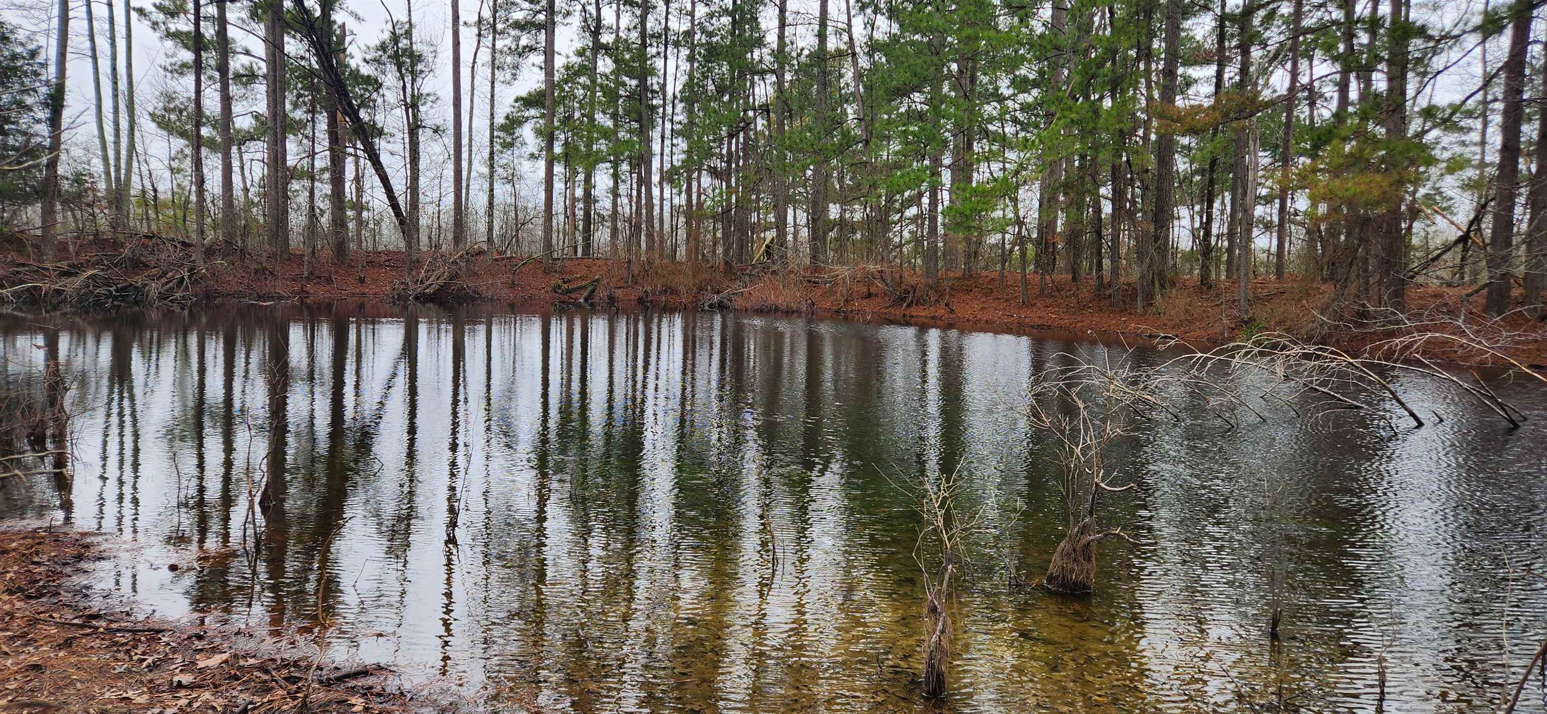 Metes & Bounds - Farm