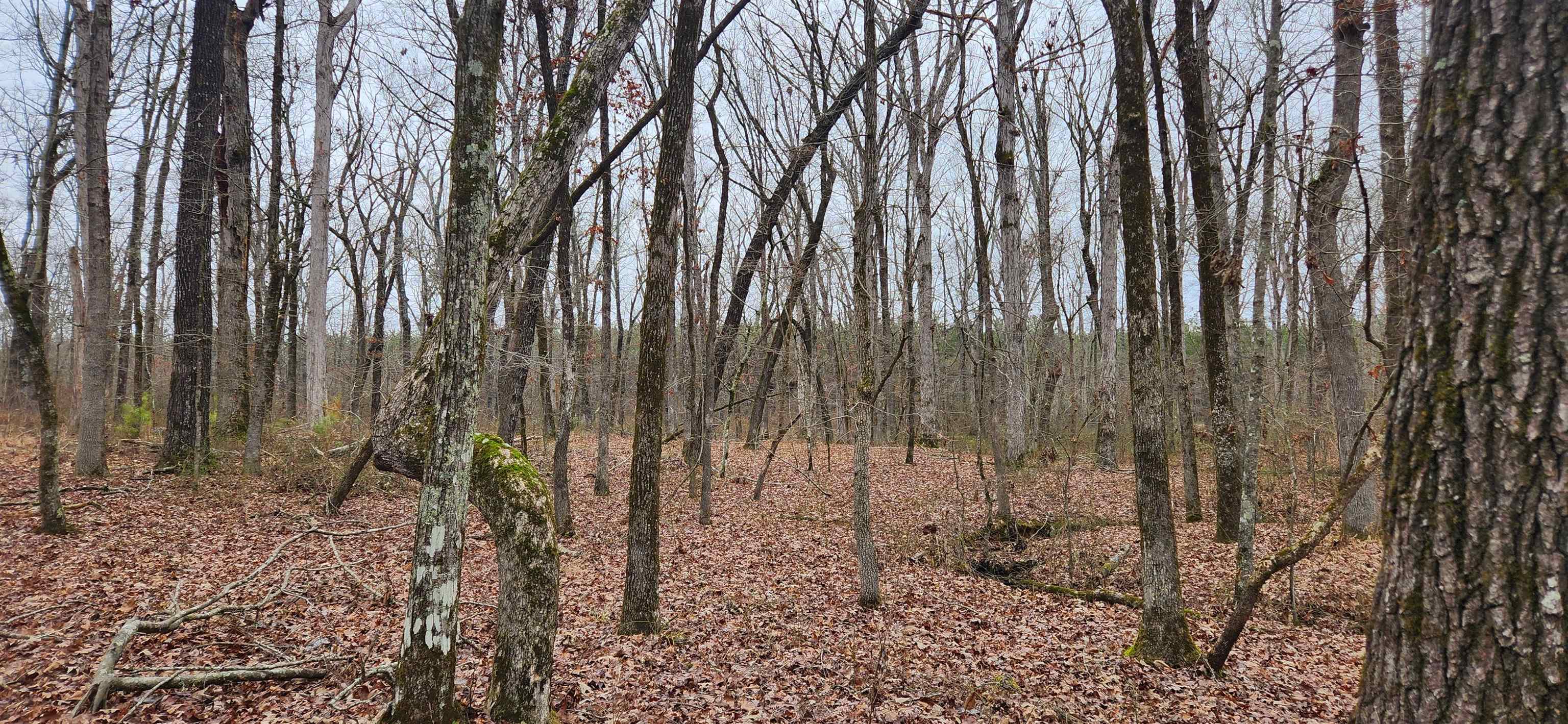 Metes & Bounds - Farm