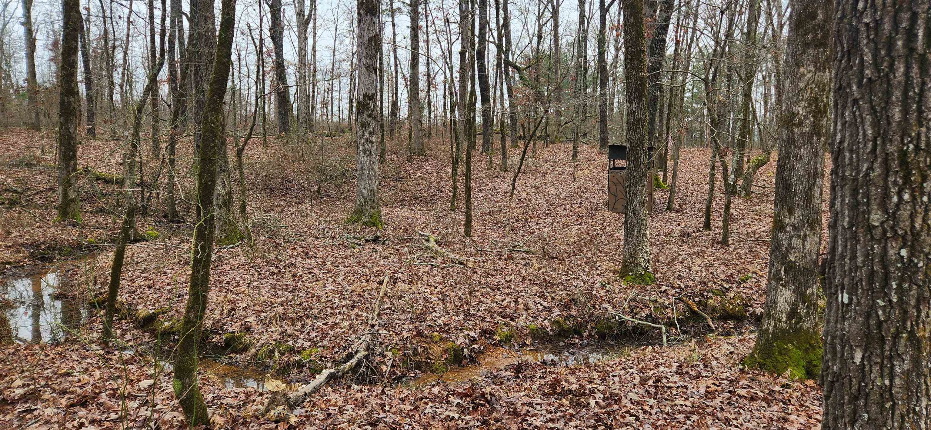 Metes & Bounds - Farm