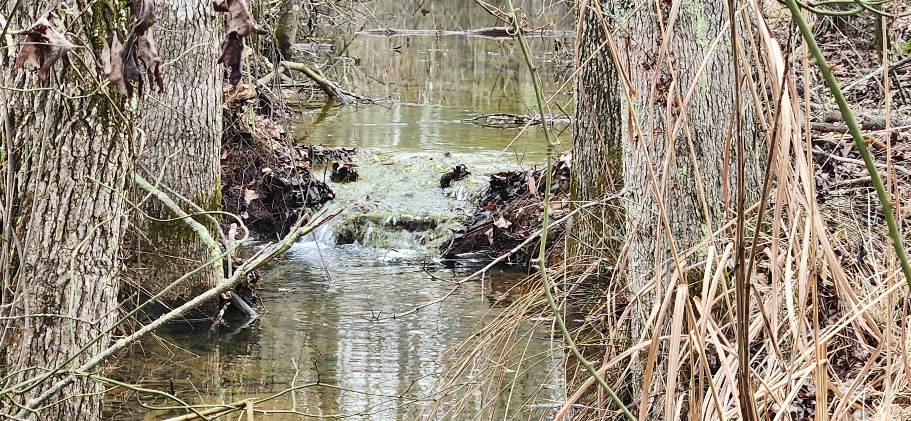 Metes & Bounds - Farm