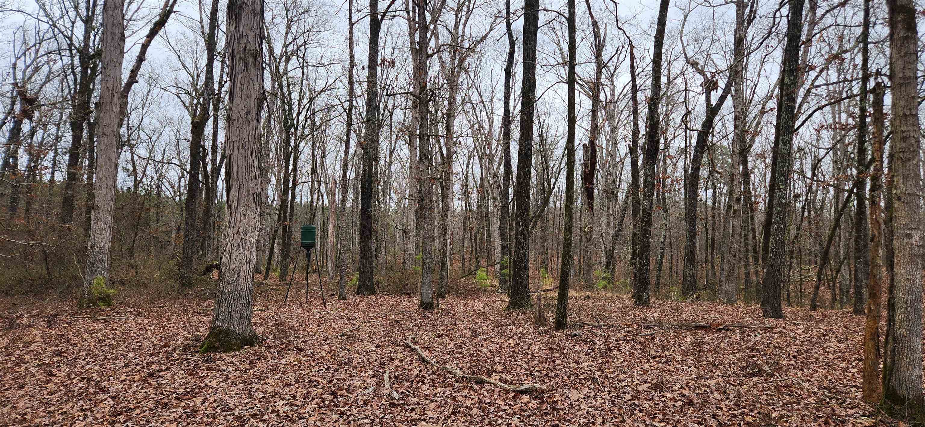 Metes & Bounds - Farm