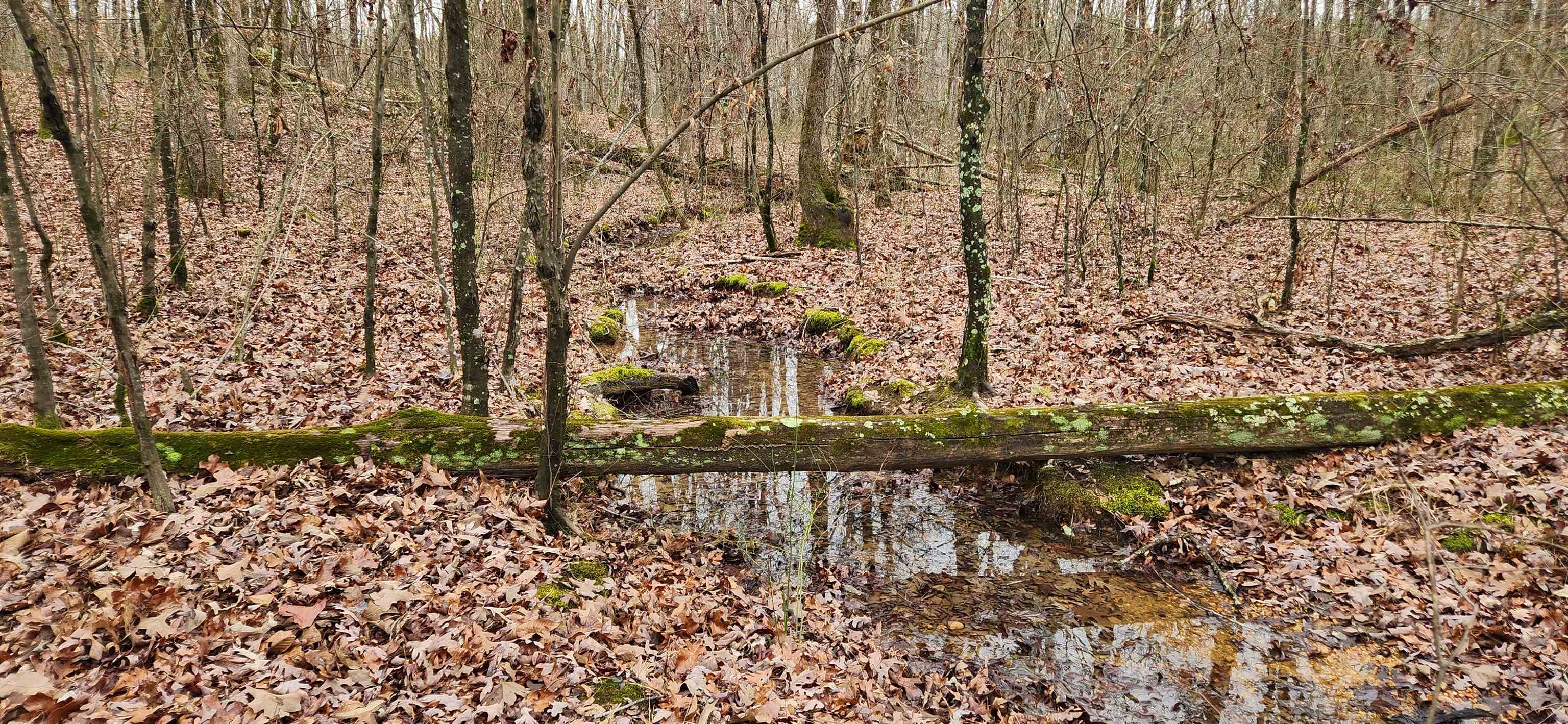 Metes & Bounds - Farm