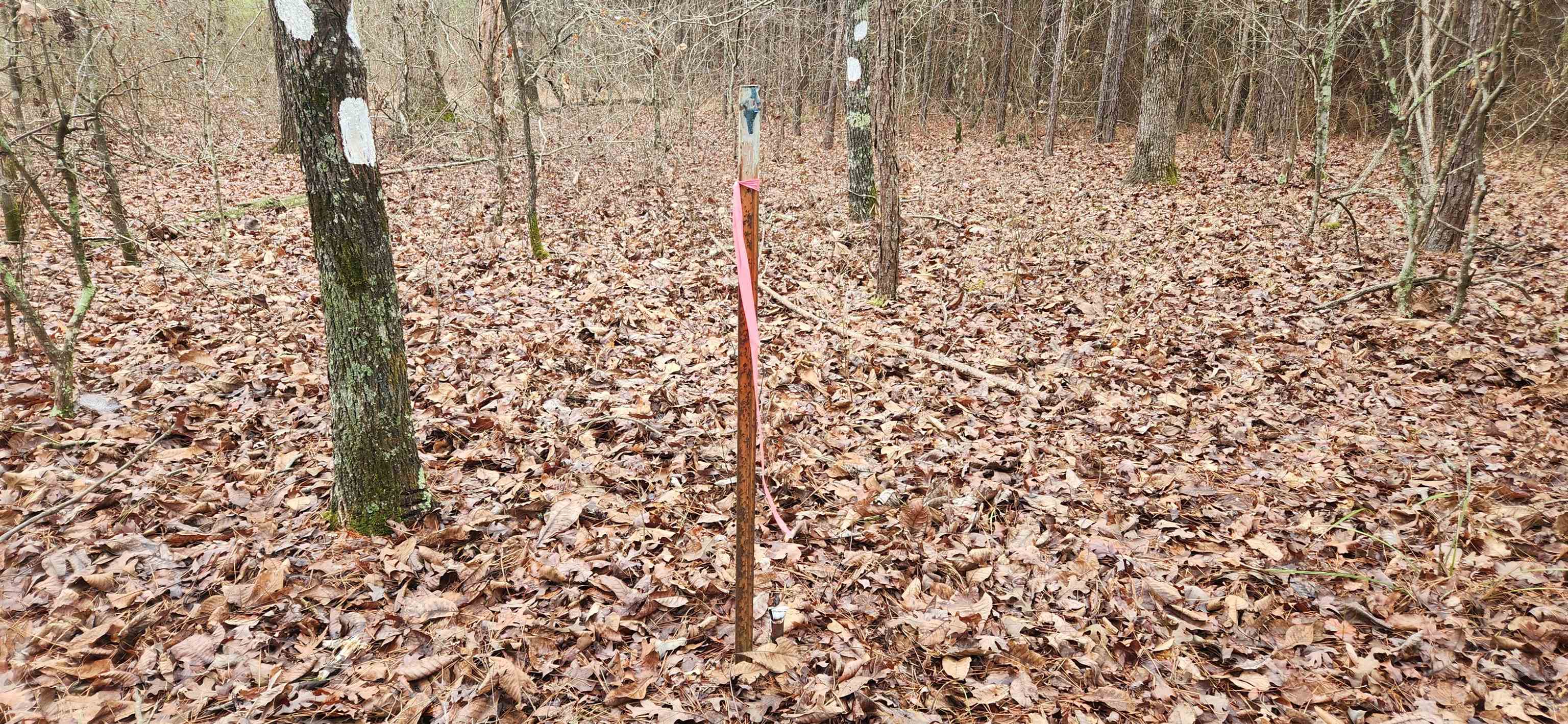 Metes & Bounds - Farm