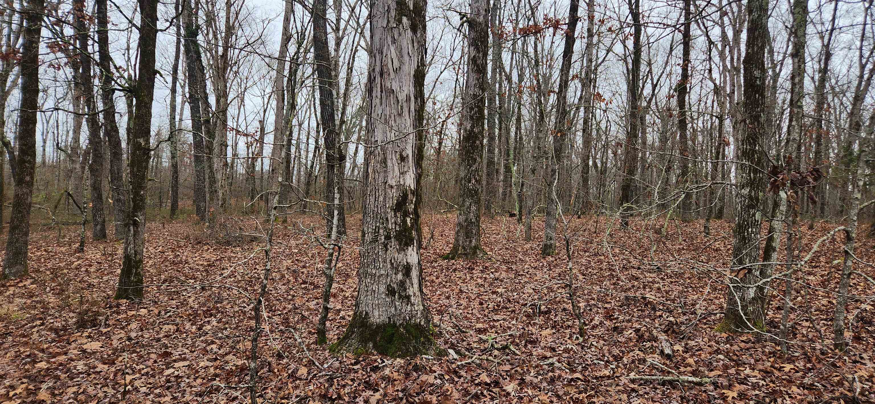 Metes & Bounds - Farm